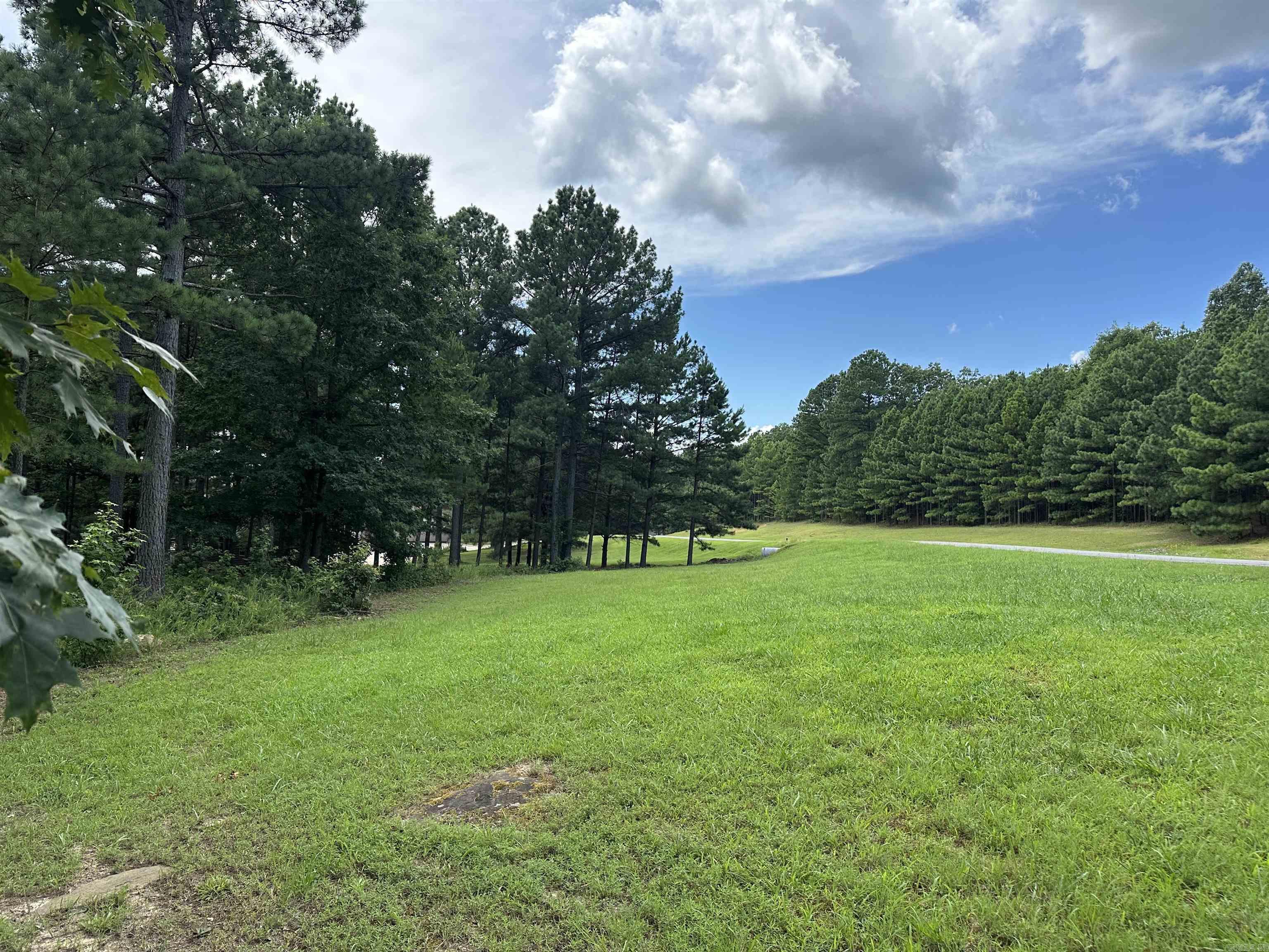 Holley Mountain Airpark - Land