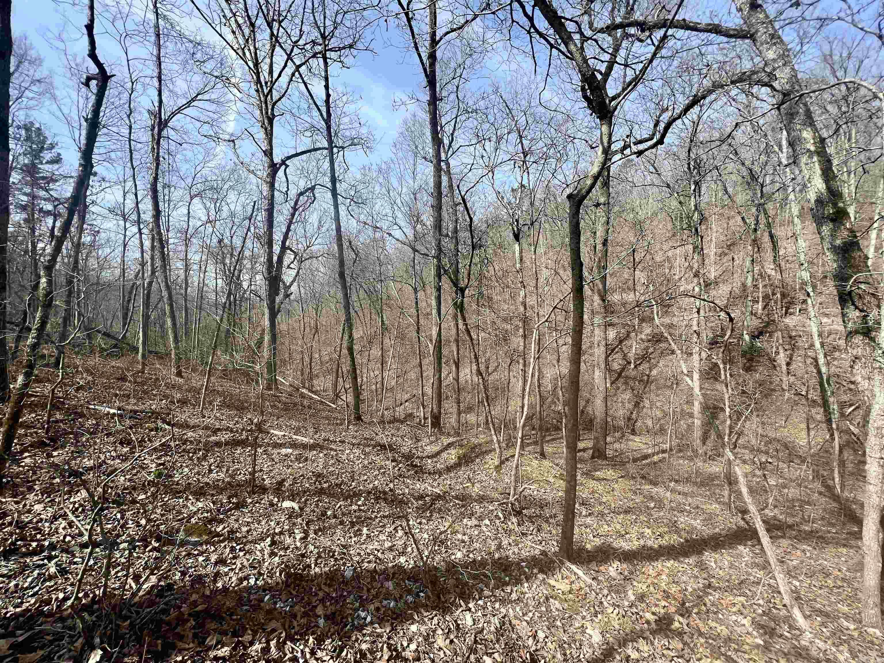 Not in Subdivision - Land