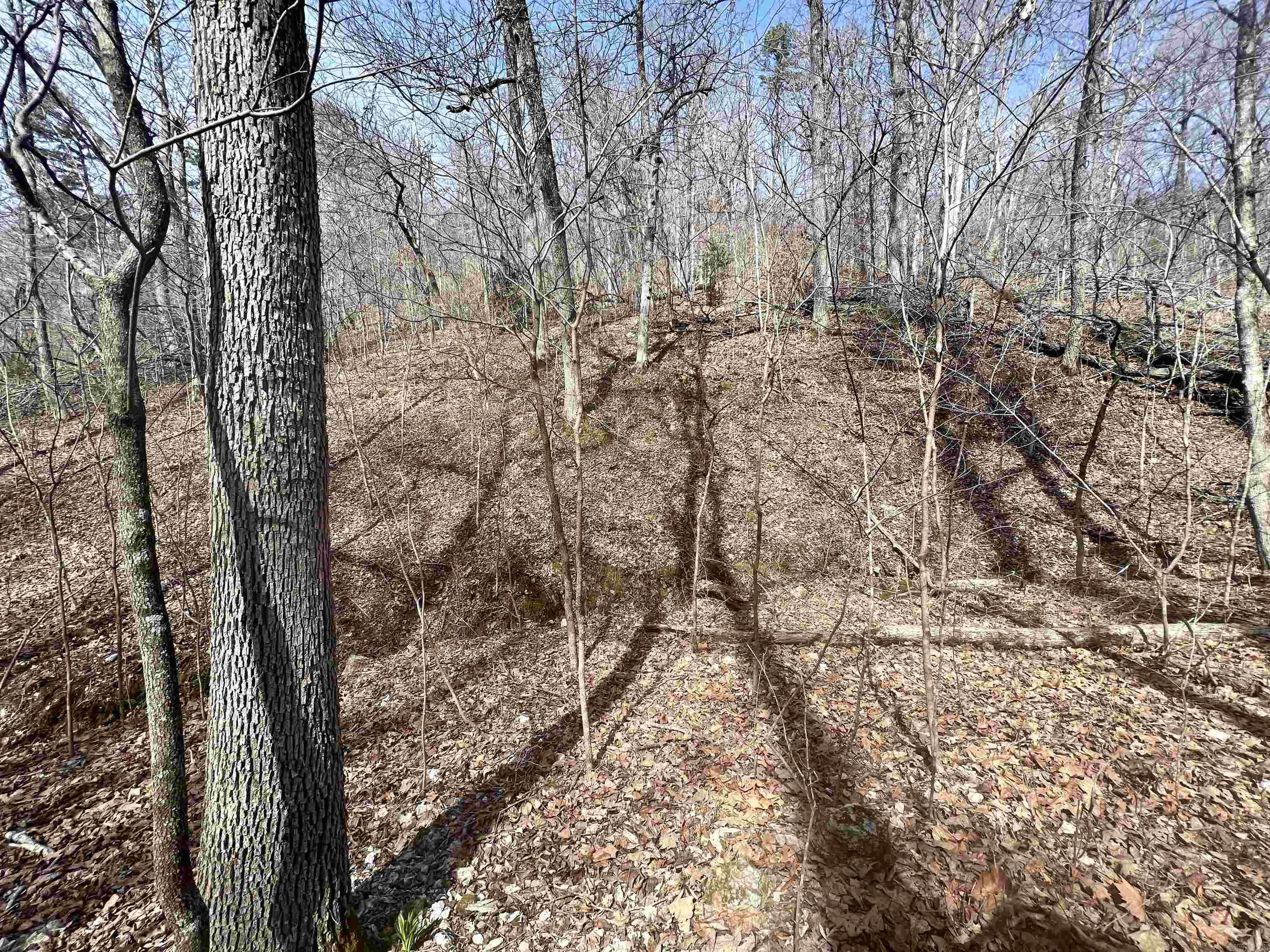 Not in Subdivision - Land
