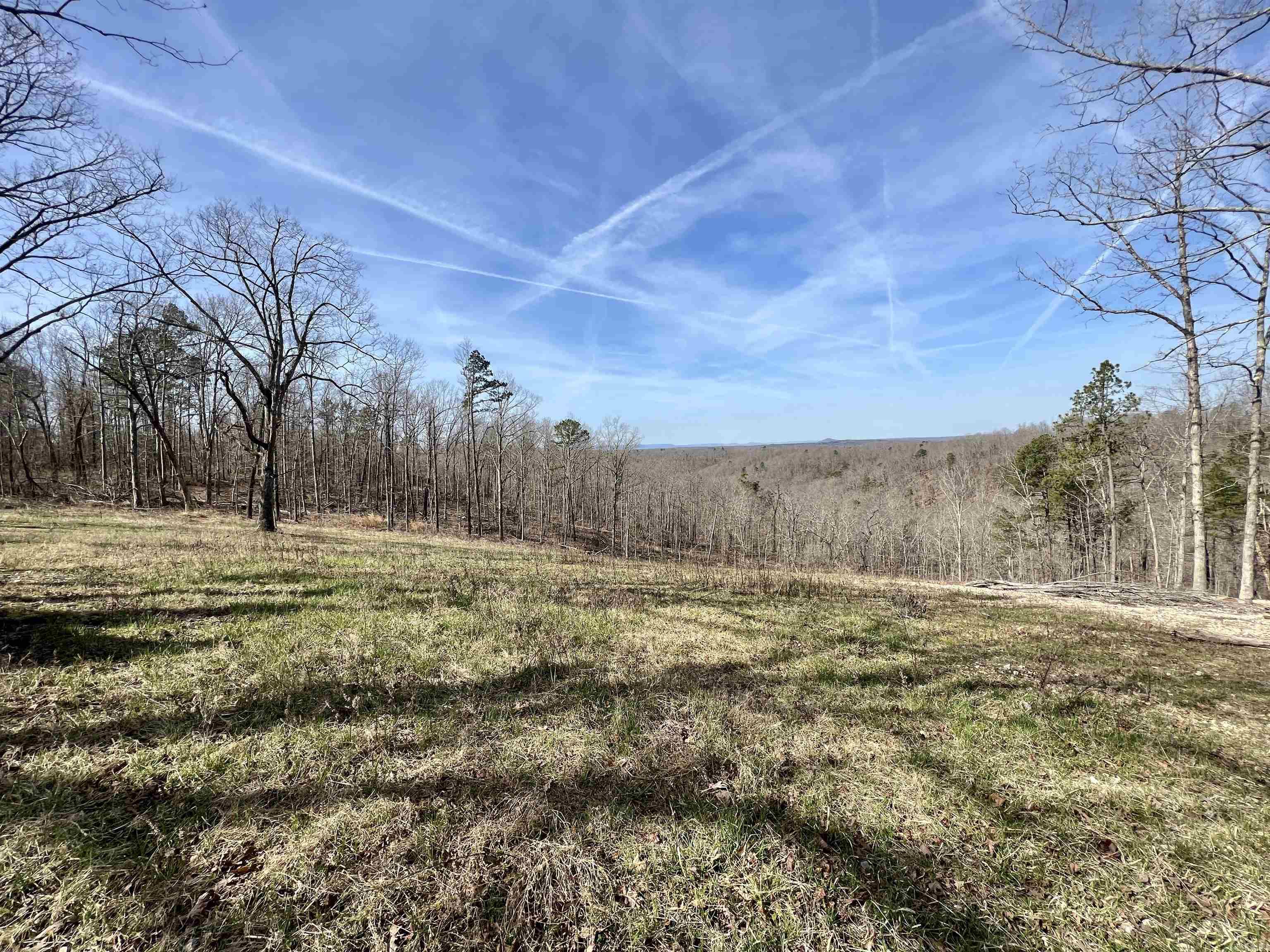 12acres m/L.  Unrestricted, and joining Buffalo National Park Service.  Located less than ½ mile down gravel road, and within 2 miles of river access.  Power along road at property.  Great South West  views for miles and an old house site with a hand dug basement and well.  The options are endless on this one!
