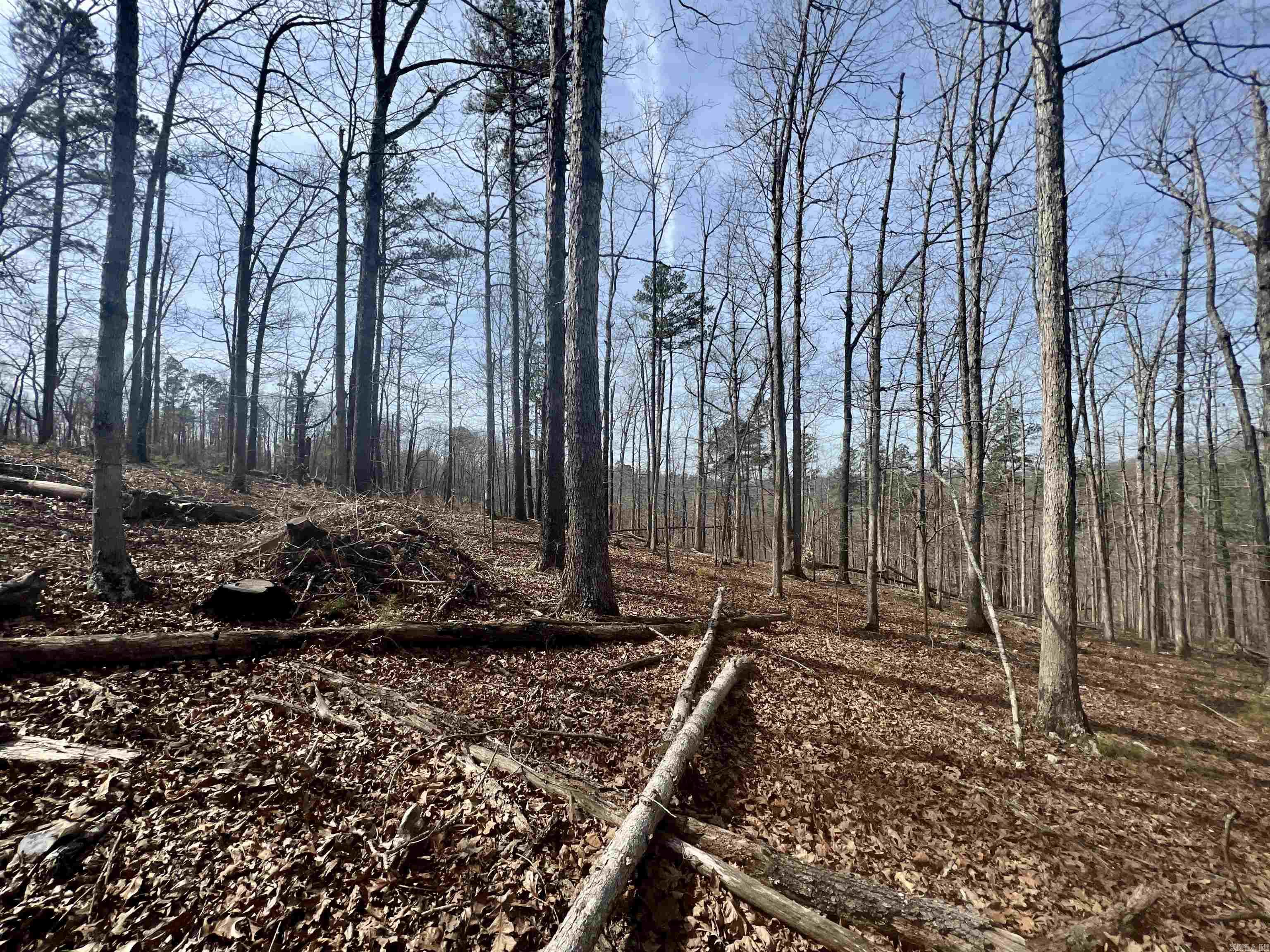 Not in Subdivision - Land