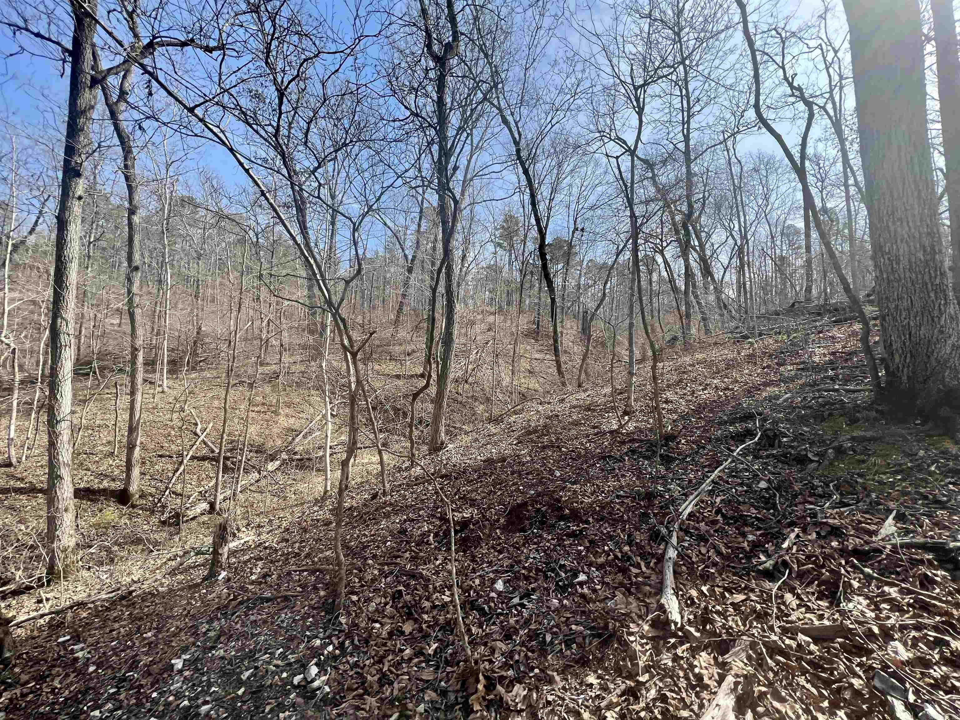Not in Subdivision - Land