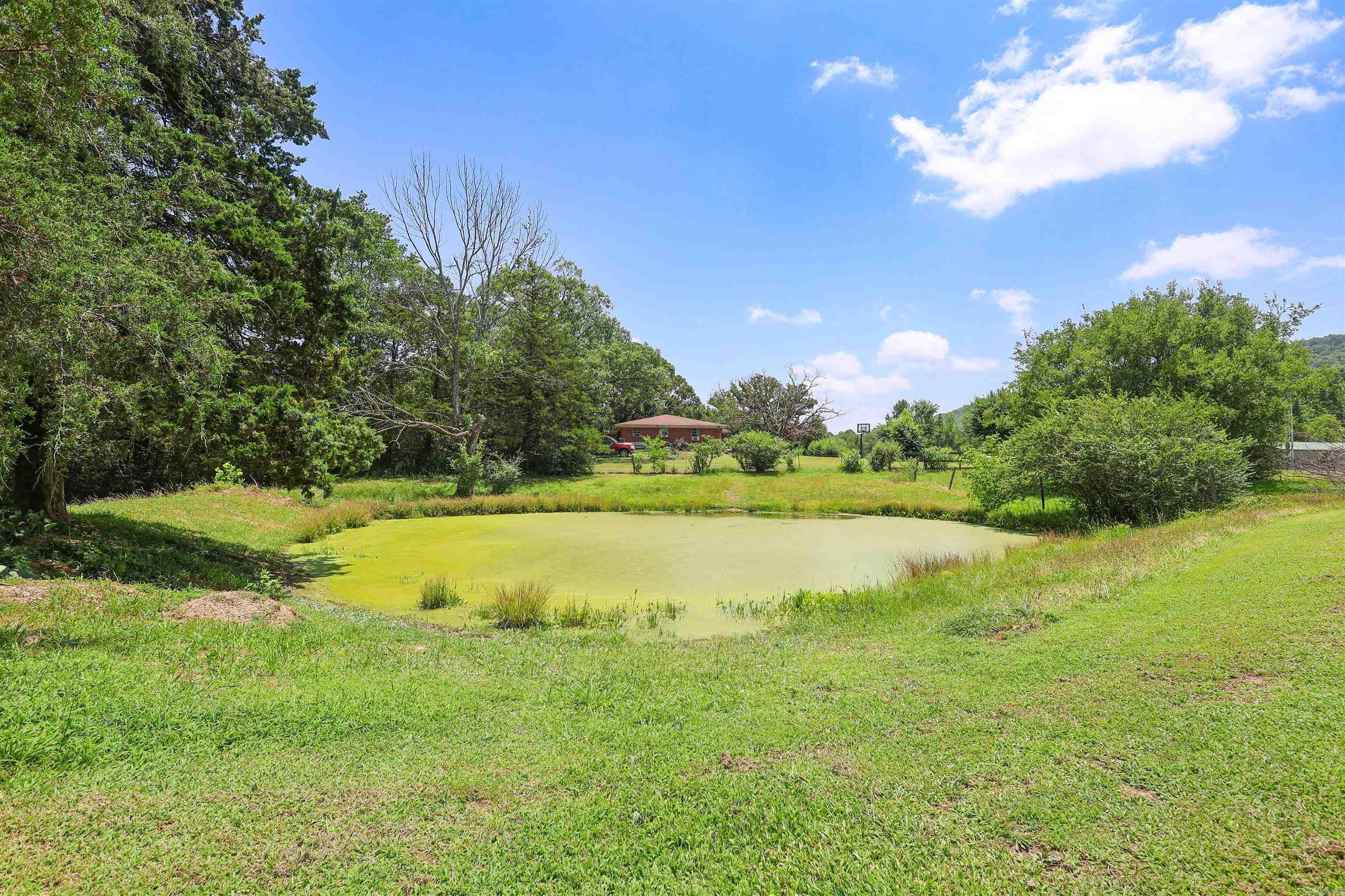 MOUNT IDA CITY ACREAGE - Residential