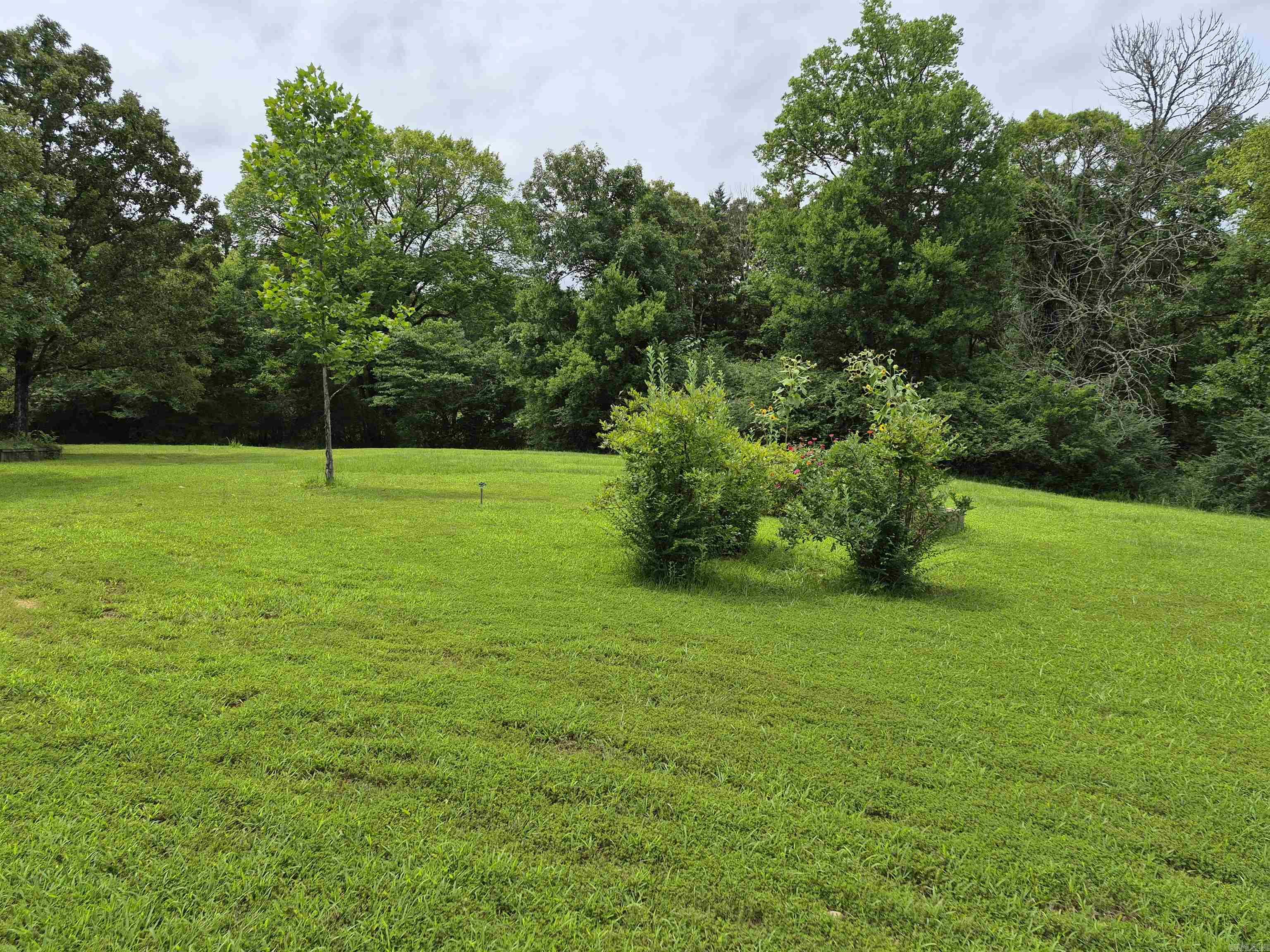 Lake Hamilton Outside - Residential