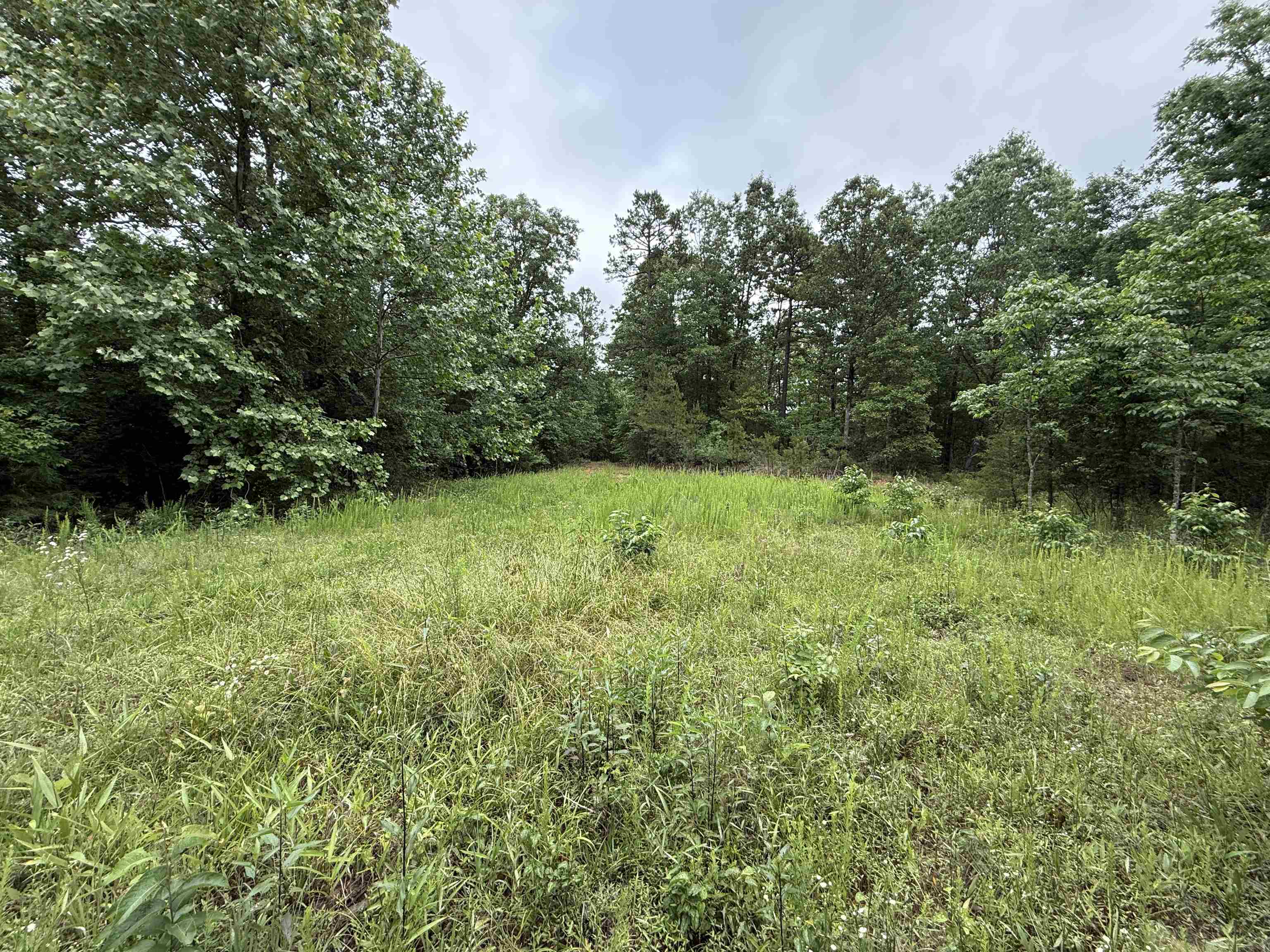 Not in Subdivision - Land