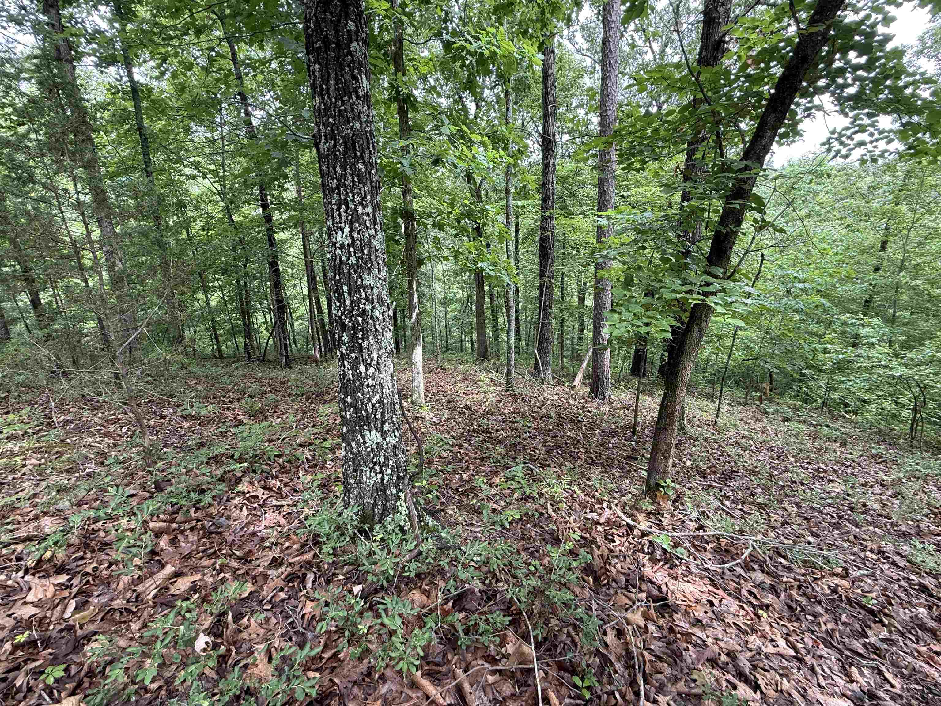 Not in Subdivision - Land