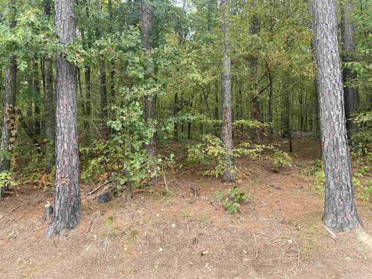 Developer's dream!  This large tract of land would be great to subdivide!  Lots of options are available on this property that is just a block off of Malvern Ave and in Lakeside School District.