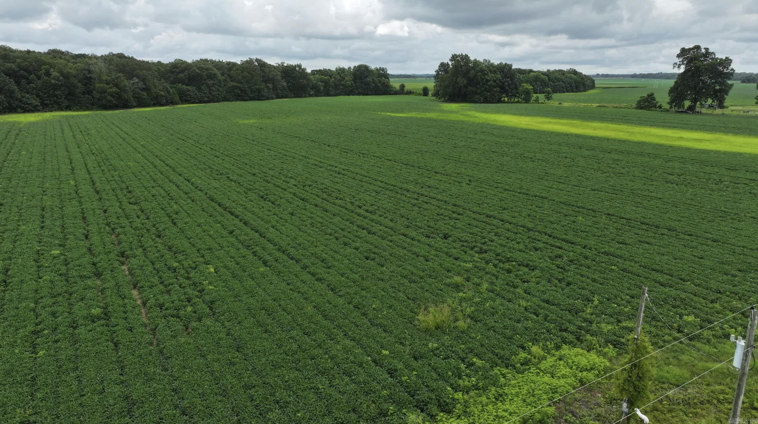 This 53.33-acre property is located on Bodiford Lane, just east of Clarendon, Arkansas. The tract includes 16 acres of mature oak dominated timberland, with the balance in farmland currently planted in soybeans.  The tillable acreage is leased to a local farmer under a verbal crop-share agreement, with the landowner receiving 25% of the crop proceeds. The property is also irrigated by one electric submersible well.  This area is well known for holding waterfowl during the winter months and is just a few miles from the White River National Wildlife Refuge. While the property is currently unimproved, it offers strong potential for enhancement as a waterfowl habitat or hunting property.
