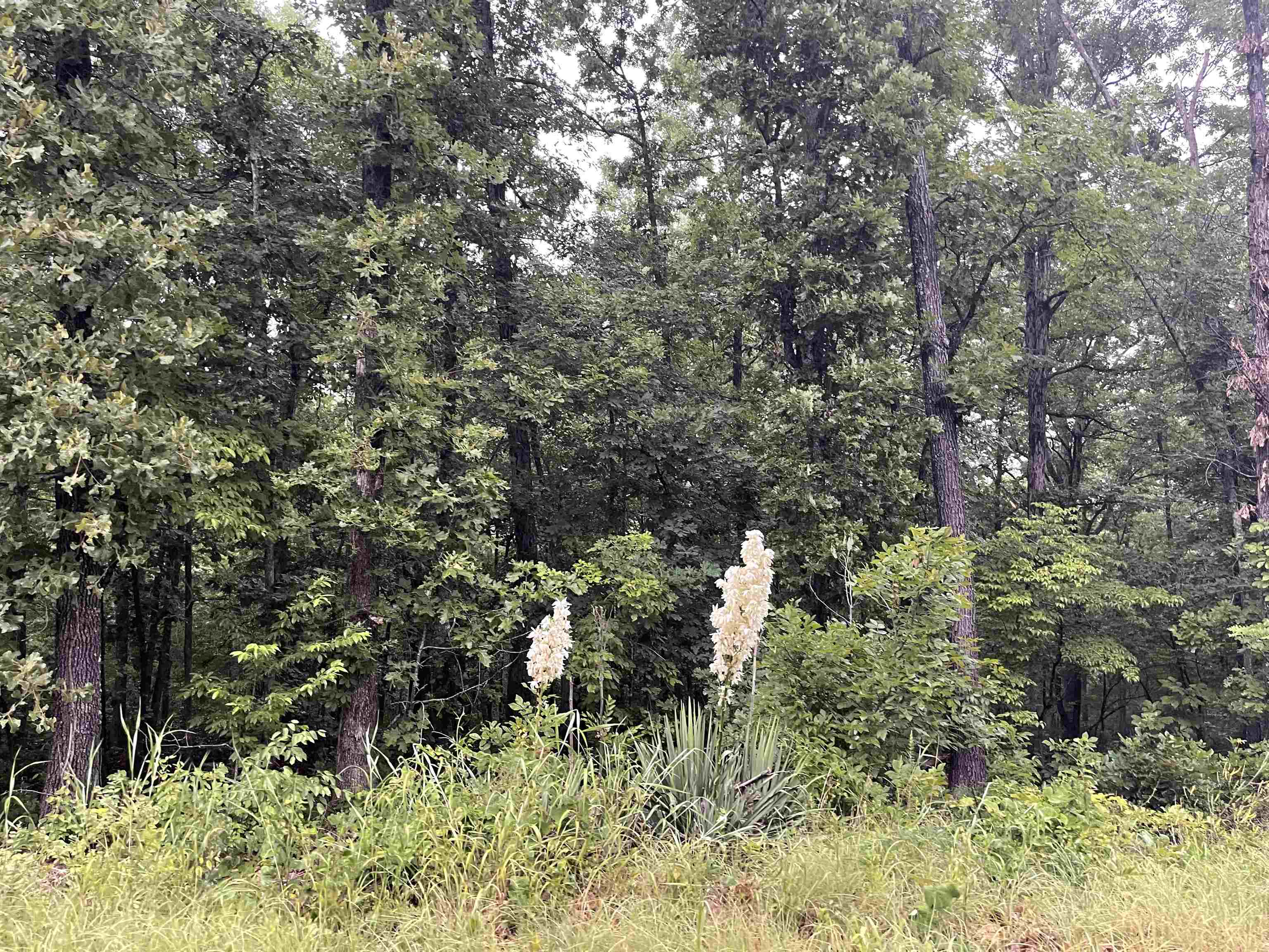 TWO adjoining vacant lots.  Surrounded by trees with no neighbors  Great location. One lot has had perc test in the past.  Lot purchase gives you access to 7 lakes, 2 golf courses, and 2 recreation centers with pools.  Enjoy the laid-back atmosphere of living in Cherokee Village.  Minutes to Hardy, AR for antiquing, canoeing on Spring River, and fellowship. Great location, centrally located in Cherokee Village, AR and just off main Hwy 175.