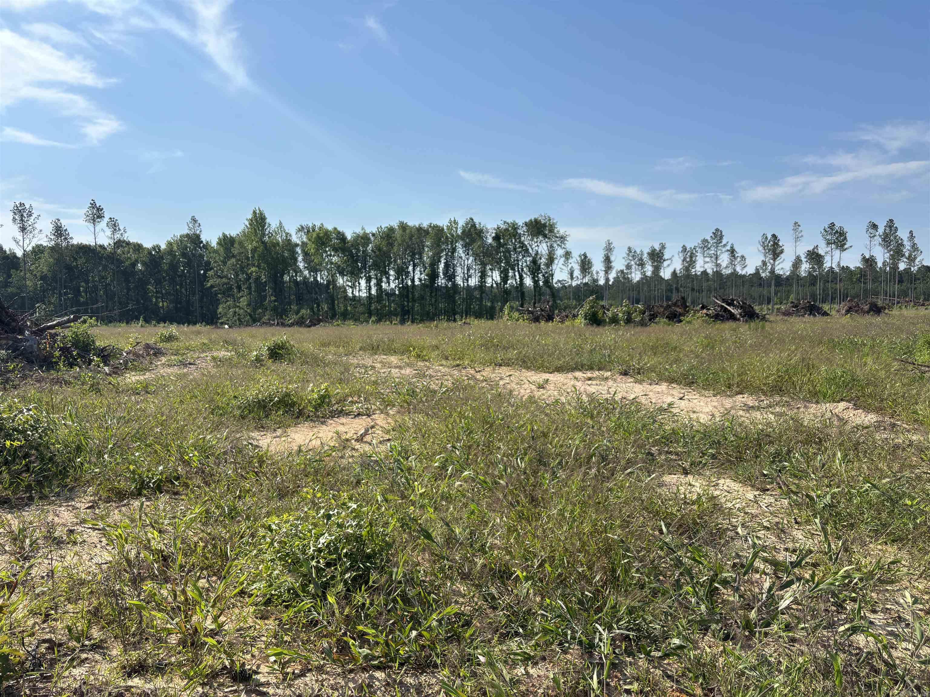 Nice area of homes*half of this tract has been cleared*level and all buildable*see restrictions and survey under MLS documents*