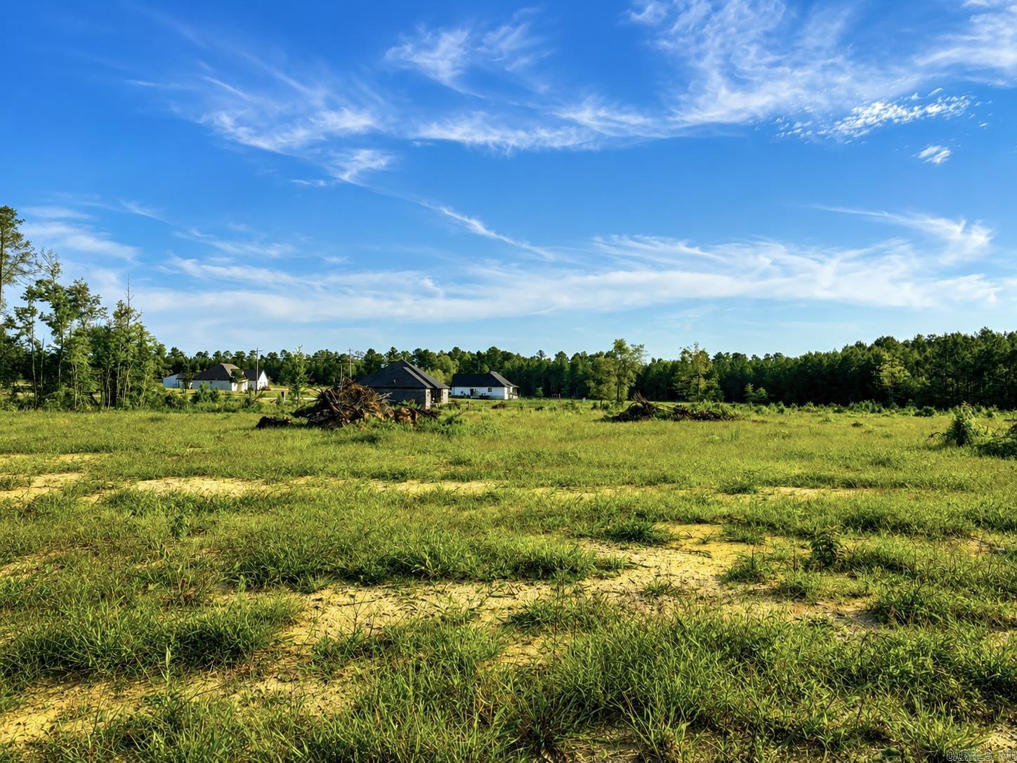 Nice area of homes*half of this tract has been cleared*level land*see restrictions and survey under MLS documents*
