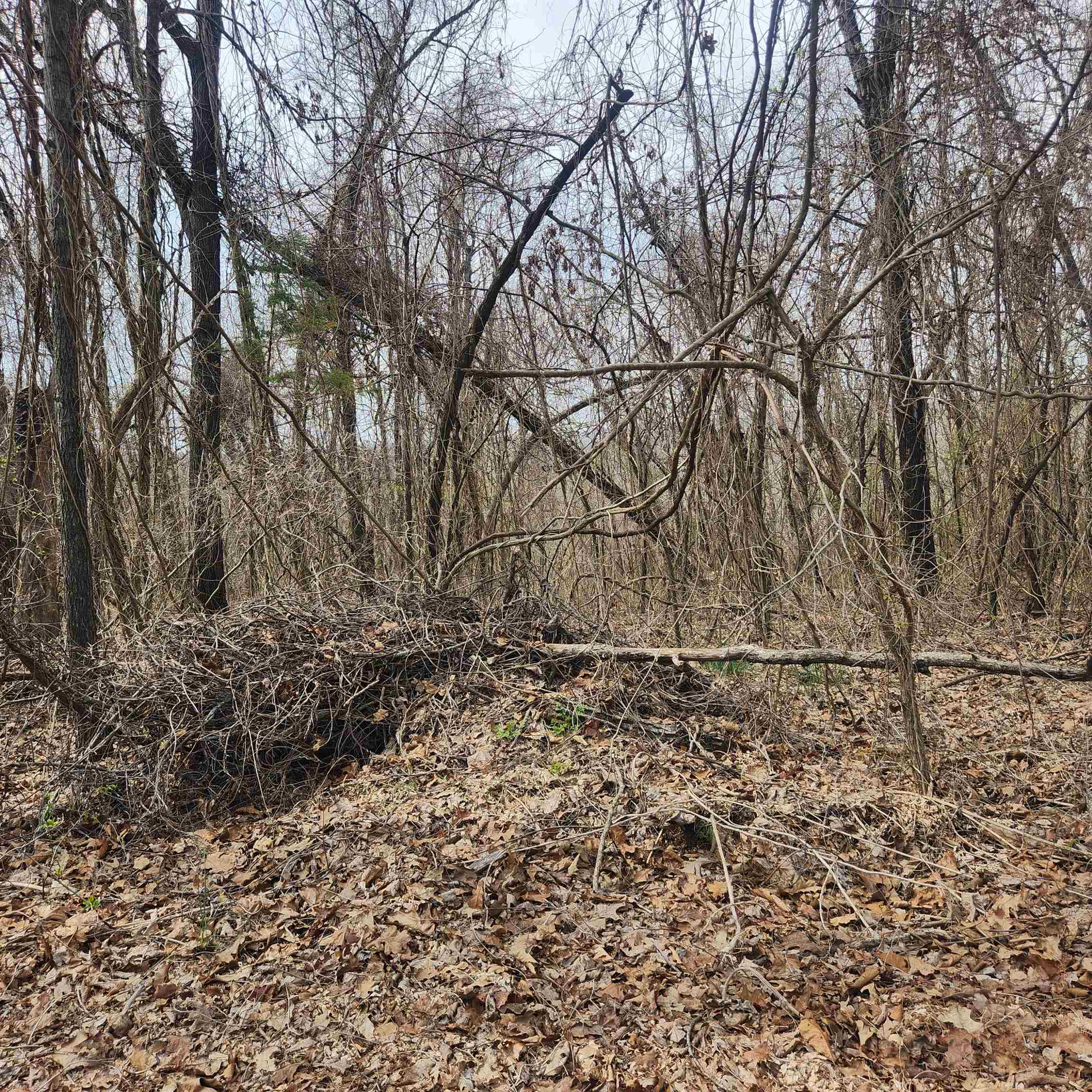 FIFTH - Land