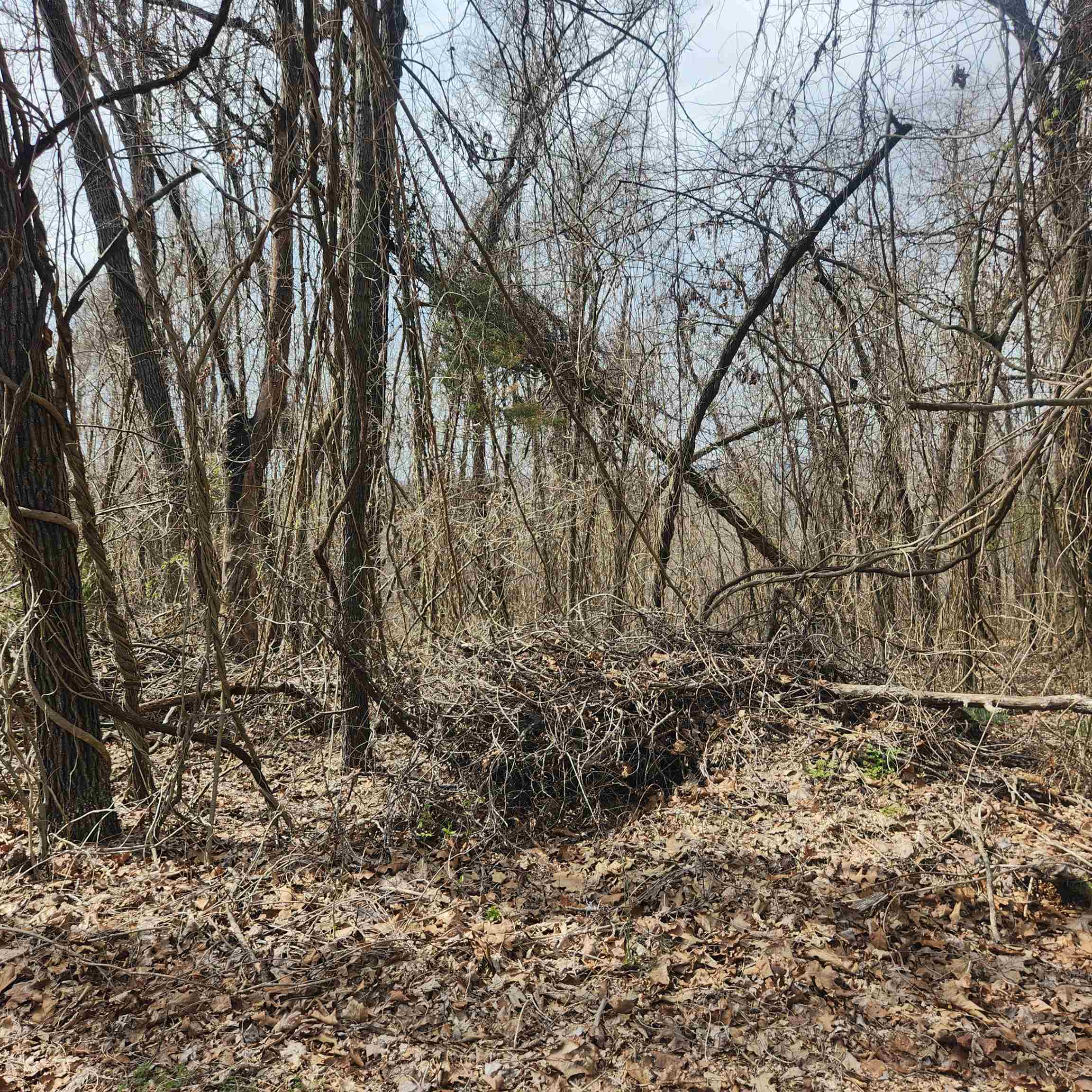 FIFTH - Land