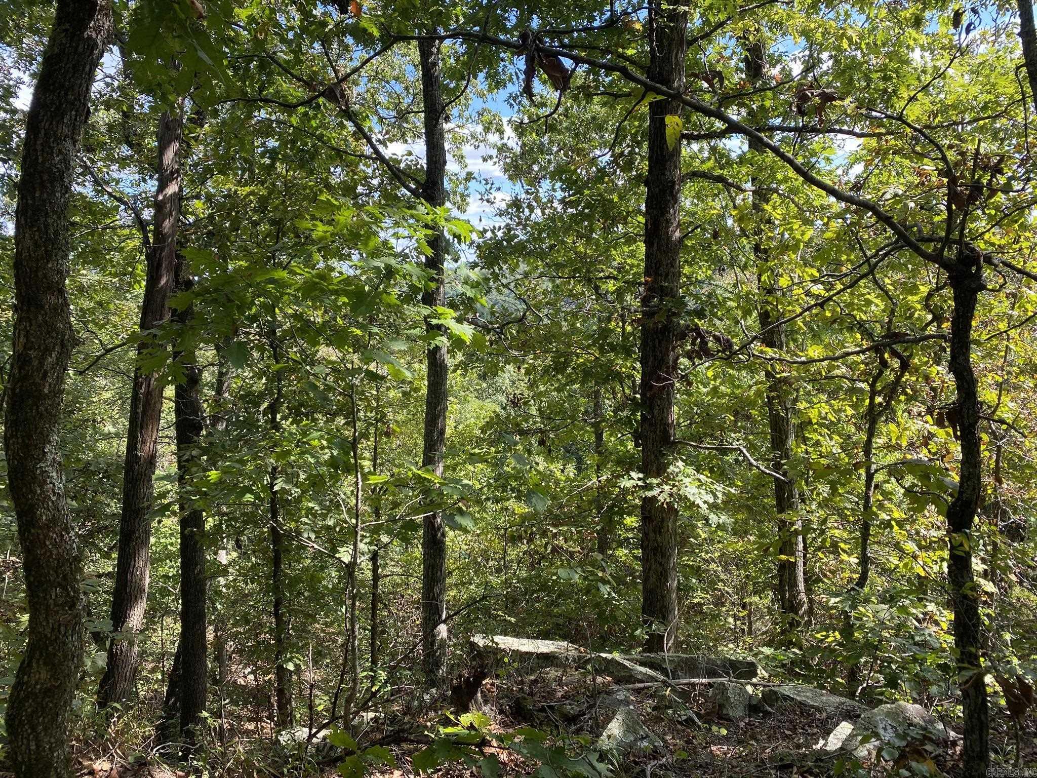 Lot 11 is a 3.1 acre lot nestled in the quite subdivision of Cooper Point right outside of Mountain View Arkansas. This wooded lot will have a great view with some clearing in the back. Restrictive covenants in place to protect the homeowners value.  Soil morphology tests results requires aerobic system. Price Reduced to accommodate additional costs for the aerobic system.  New Price $17,000
