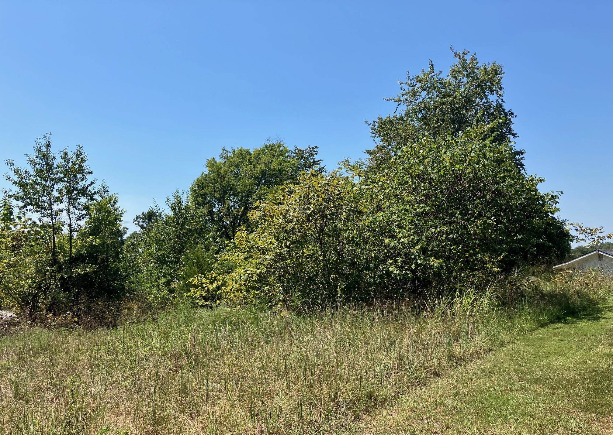 Prime Highway Frontage & Versatility  Discover the perfect canvas for your next venture on this 0.94-acre lot ideally situated near the charming town of Hardy, Arkansas. Boasting excellent visibility and mainly level terrain, this property offers a seamless transition for those looking to establish a new commercial business or a private residential site. The land features a mix of cleared areas and mature shade trees, providing a balanced landscape that is ready for development while maintaining a touch of natural beauty. Ready-to-Use Utilities & Location One of the standout features of this property is the existing well already on-site, offering immediate value and utility. With the potential for septic availability and easy access to power, this lot is exceptionally well-suited for a mobile home, tiny house, or commercial storefront. Whether you are looking to capitalize on the local tourism traffic near the Spring River or seeking a quiet, accessible place to call home, this versatile property provides the infrastructure and location to make your vision a reality.