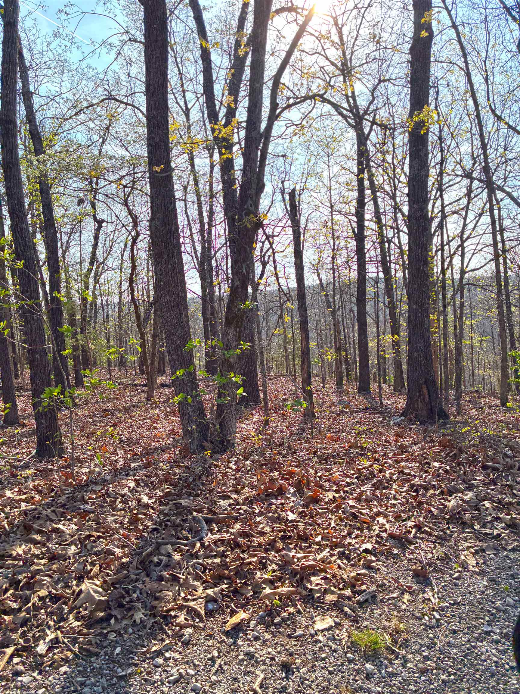 Unimproved residential lot in Cherokee Village, Sharp County, Arkansas.