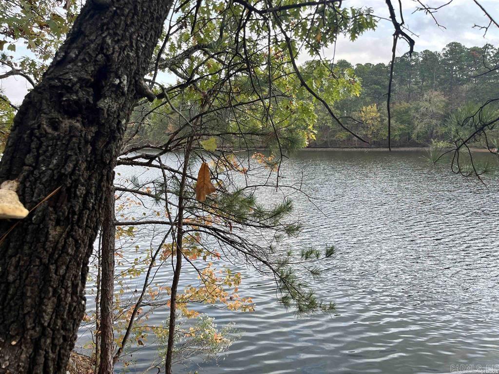 Are you looking for a lake front property that's out of city limits and offers year round water with amazing views? If so this is your lil piece of Heaven! Enjoy the beauty of Lake Hamilton year round! Deep water on the Little Mazarn! It's a fisherman's dream! Approximately 10 minutes to Bypass and convenient to everything by land and water! Call your favorite agent today to schedule a showing!