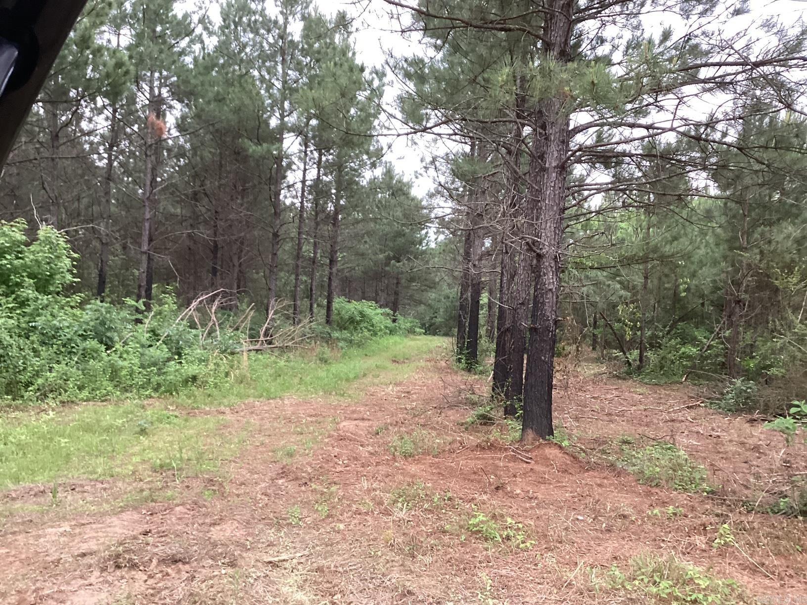 30 acres close to city of Prescott on a state hwy with utilities at hwy. Some pine and hardwood make great cover for deer and small game. This property is what everyone has been looking for, a place to build your dream home and still be close to town and interstate.   An additional 30 acres is available for the next owners if they need more land. Put the 2 tracts together and build chicken house.