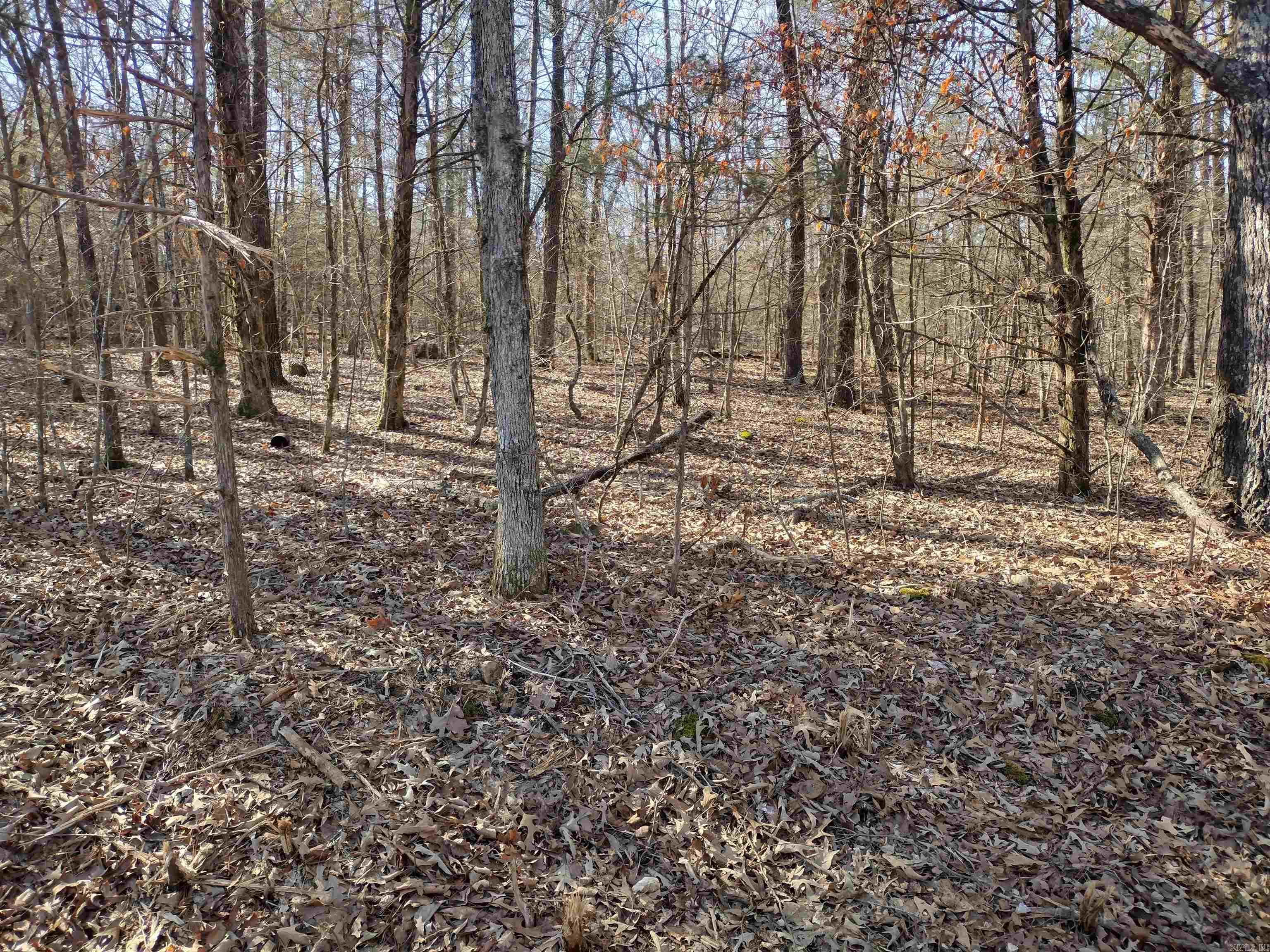 If your looking for a private place to call your own check out this 16.37 acres M/L mixture of pasture and woods county rd. frontage will have utility easement from HWY 14 across lots