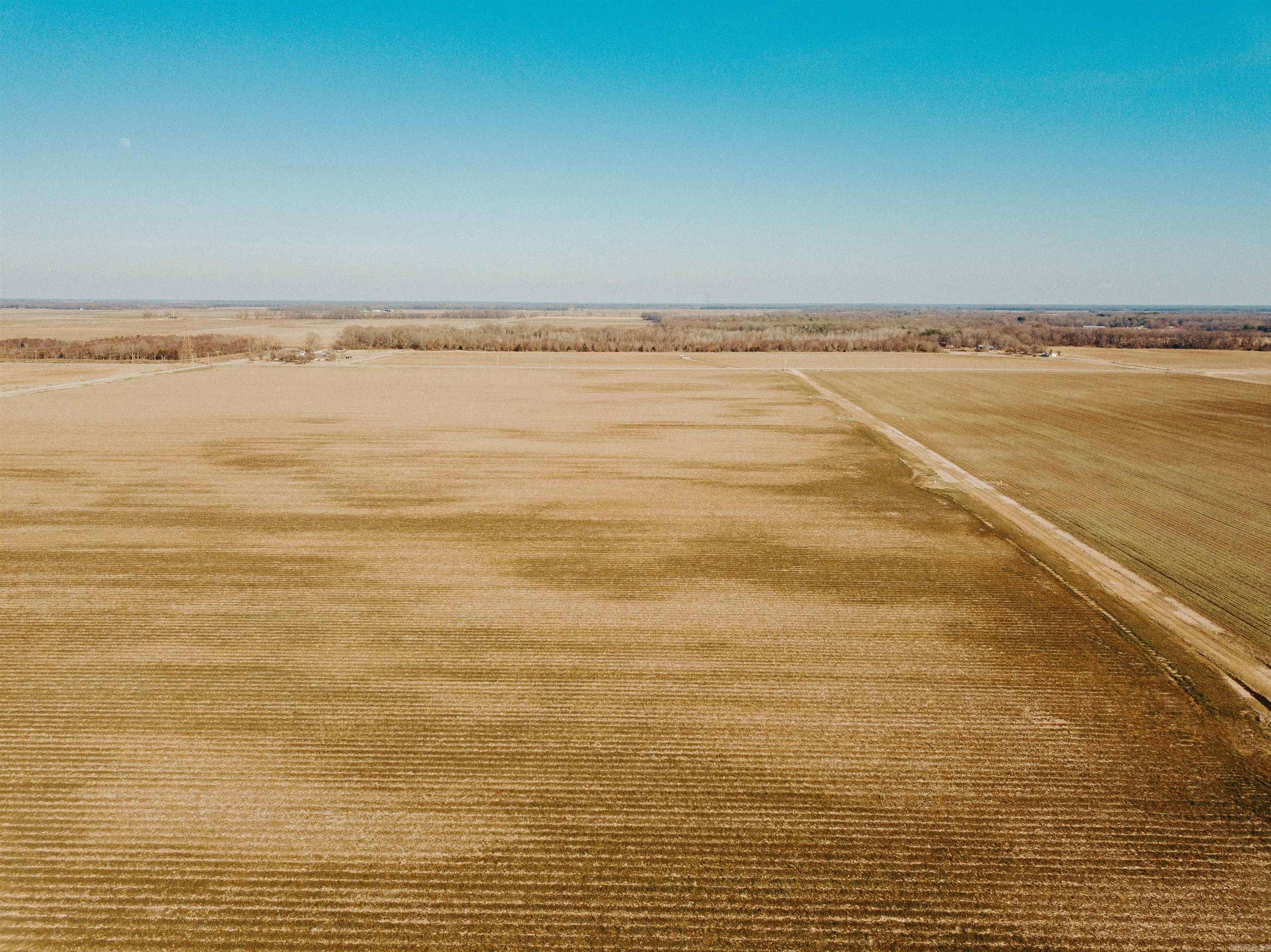 The Almyra 320 is an excellent row crop property. Out of the 320+/-acres, 273.2 are tillable and in production in the current farming operation. This farm has three wells, two diesel, and one electric. There is also a 29 acre holding reservoir for water! Road access and proximity to town make this farm very easy to access. This farm is also located in a great location for waterfowl hunting.  There is a great farmer in place currently and is on an annual lease. If you are in the market for a turnkey, income producing farm, this is it!  Farm Map: https://id.land/ranching/maps/9cf80bd0c9e5856821a6834793b0ee7a/share