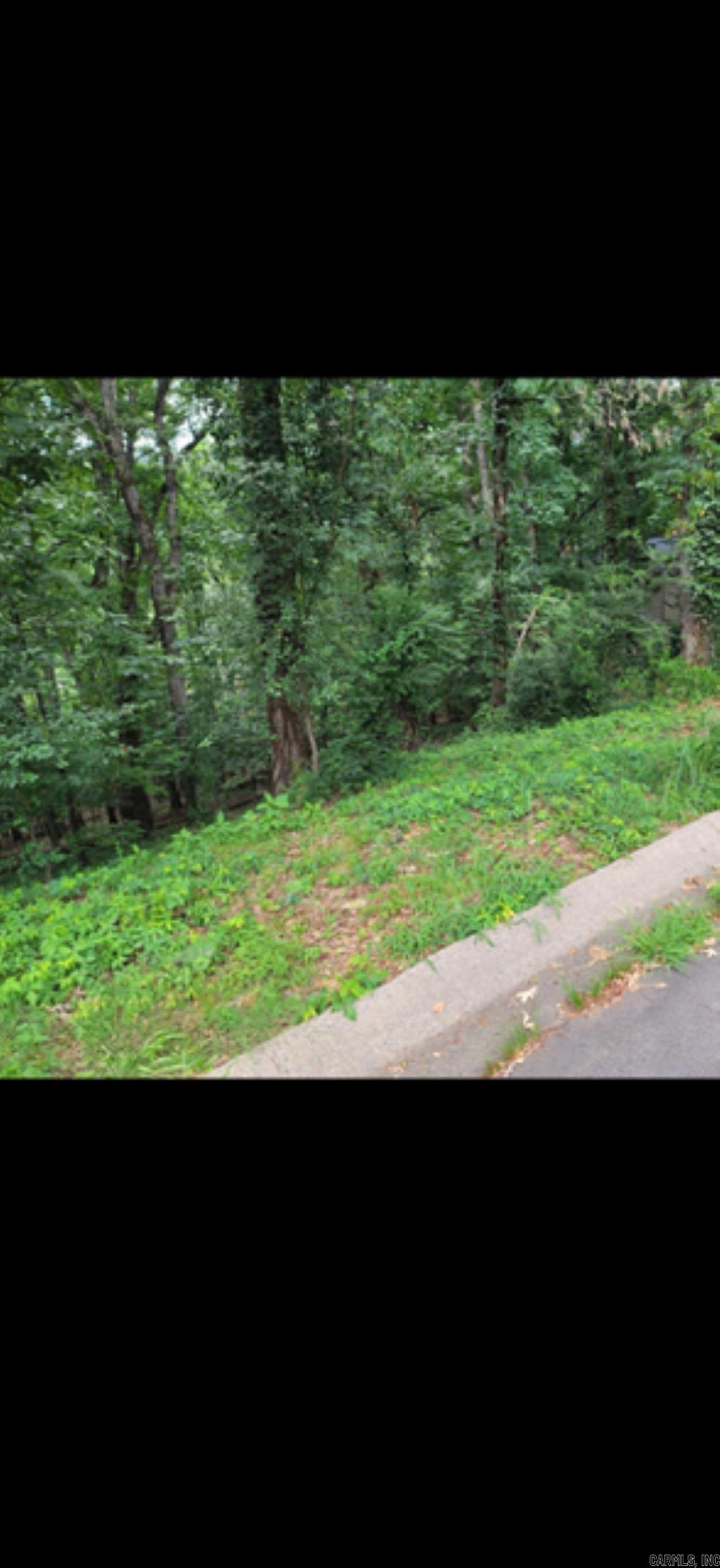 FEW LOTS AVAILABLE N ESTABLISHED SUBDIVISION; VACANT LOT IN MID OF 2 HOMES;MINUTES AWAY FROM CANTRELL RD ;SHOPPING AND RESTAURANTS NEAR BY; DRIVE BYS WELCOME!