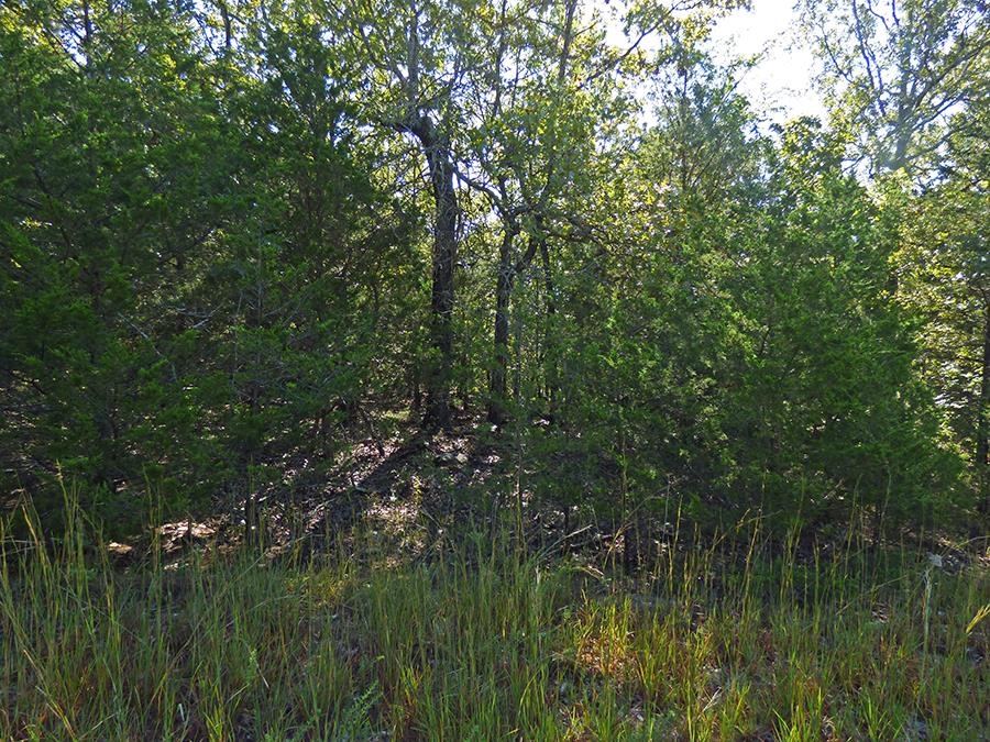 Two undeveloped Level Residential lots with a seasonal Lake Diamond view.  Great area to build, private but easy to get to. Lots are being sold as a pair.