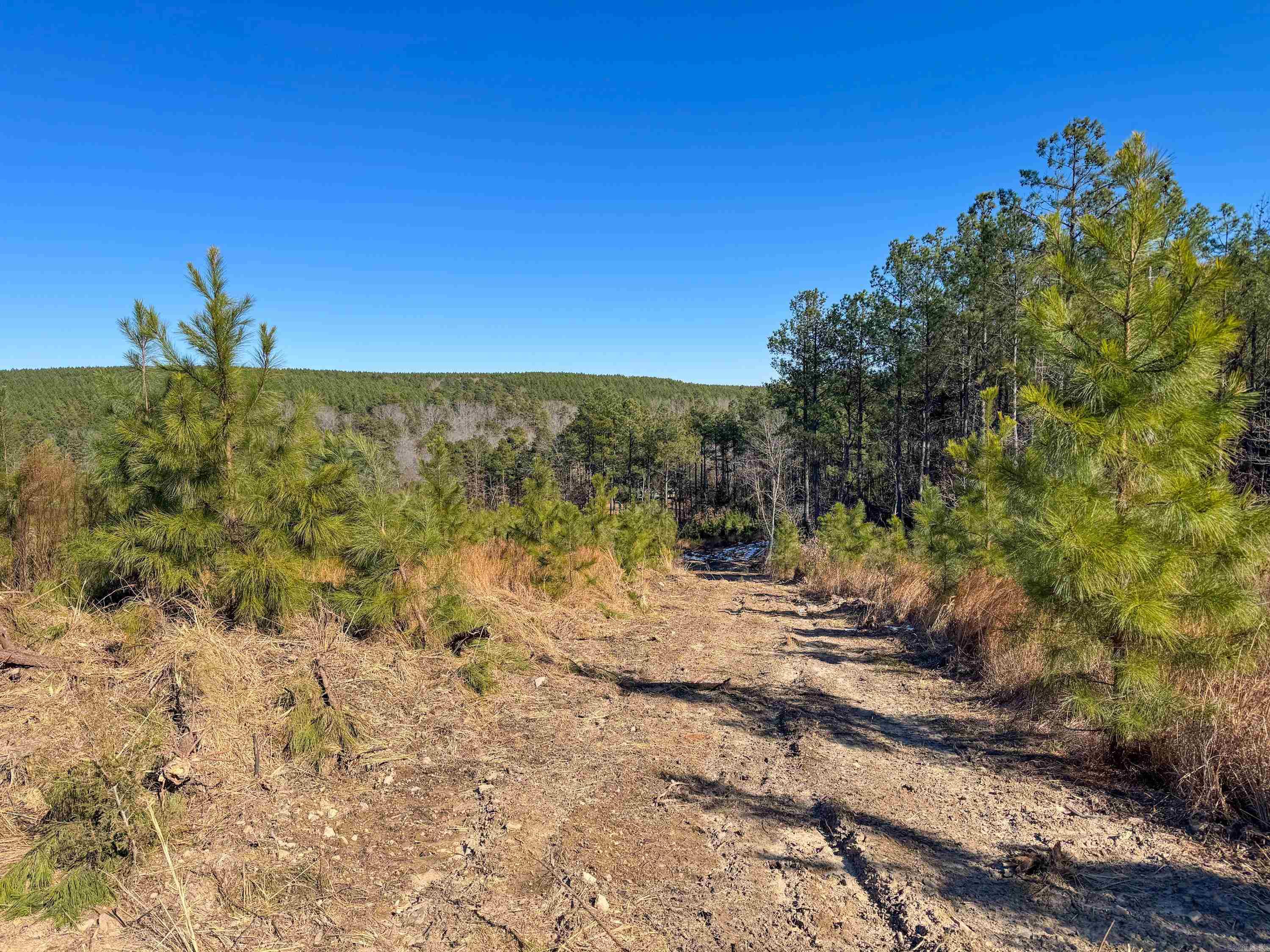 Enjoy a sweeping vista view from this acreage in Quitman. This property is just six minutes from Quitman, and only 16 minutes to the Narrows marina on Greers Ferry Lake. Clear the baby pines off or let them grow for a future investment. A couple of great spots atop the high knolls to build a home and take advantage of the view. The gas pad easement road runs along the west side of the property and would make a great driveway. There are trails cut through the property, and lots of white-tailed deer in the area. Electric is available to hook up to, but Buyer will need to drill a well for water.