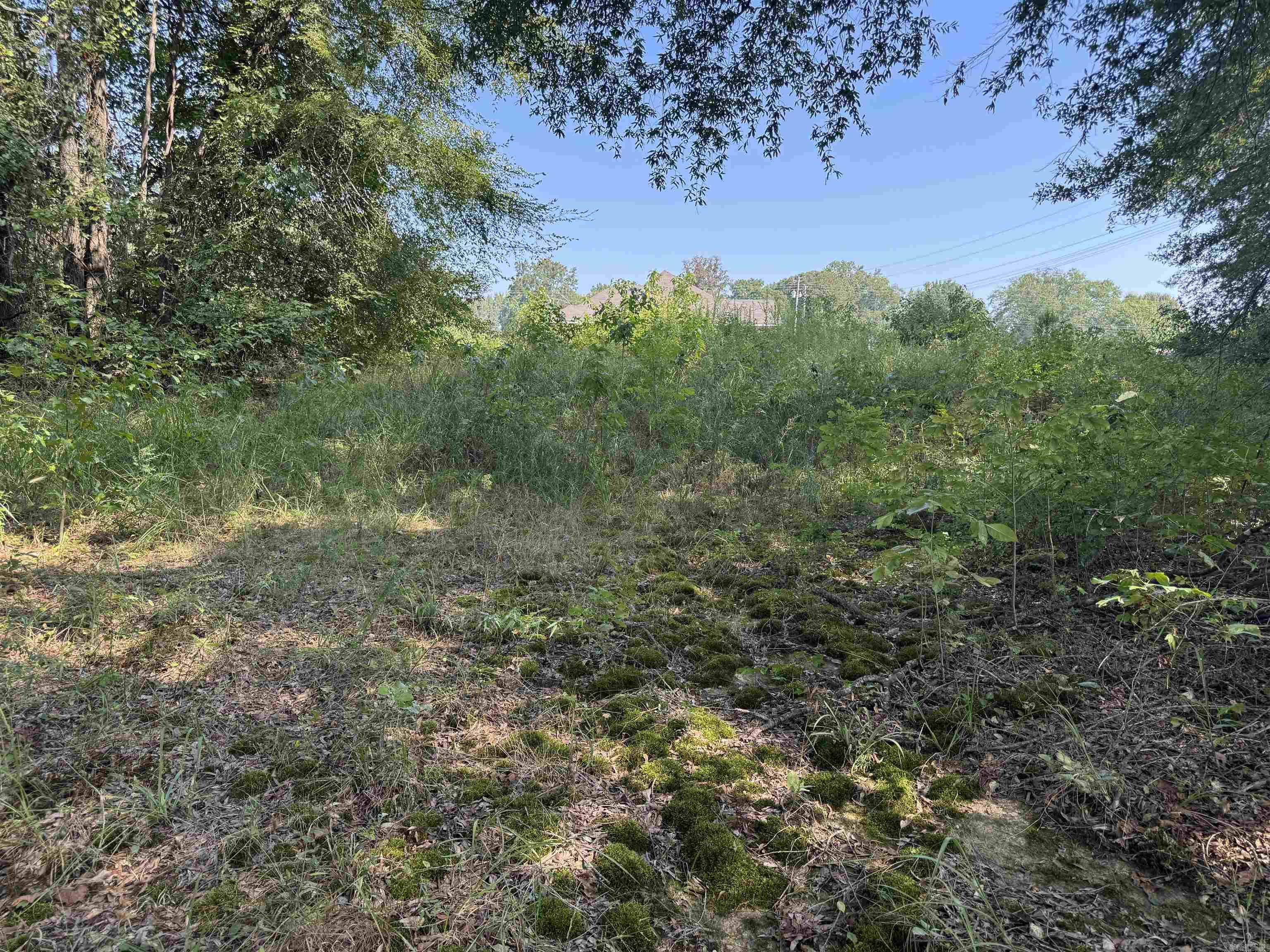 Calvary Estates - Land