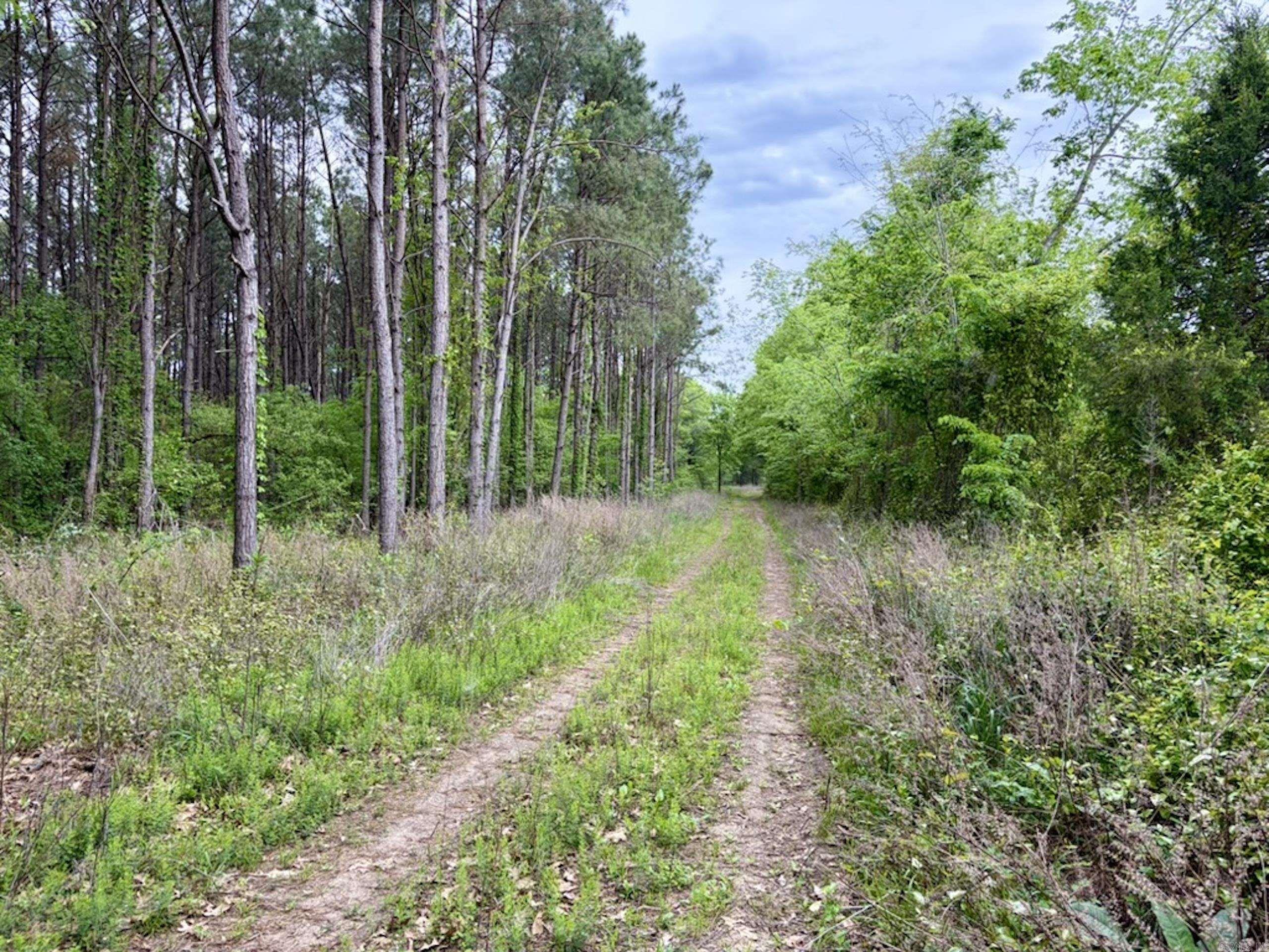 Land for sale near Centerville, Arkansas offering privacy, accessibility, and prime wildlife habitat. Accessed by a gated private road, this tract provides a secluded setting ideal for a hunting retreat, recreational getaway, or future homesite.  The property consists of a single well-laid-out parcel with additional acreage available. It features gently rolling terrain with quality soil, suitable for building, food plots, or future development. Several prime building sites offer flexibility for a cabin or country home.  Habitat includes a mix of mature pine, bottomland hardwoods, cleared areas, and natural thickets, creating excellent cover, bedding, and forage for whitetail deer and turkey. A small pond provides a reliable water source and added recreational value.  An established internal road and trail system allows easy access throughout and leads to multiple hunting locations. Utilities are nearby, and the property is just minutes from Petit Jean WMA and Lake Dardanelle, offering outstanding public hunting and recreation.  Ideal for hunting, recreation, or a buildable tract with expansion potential.