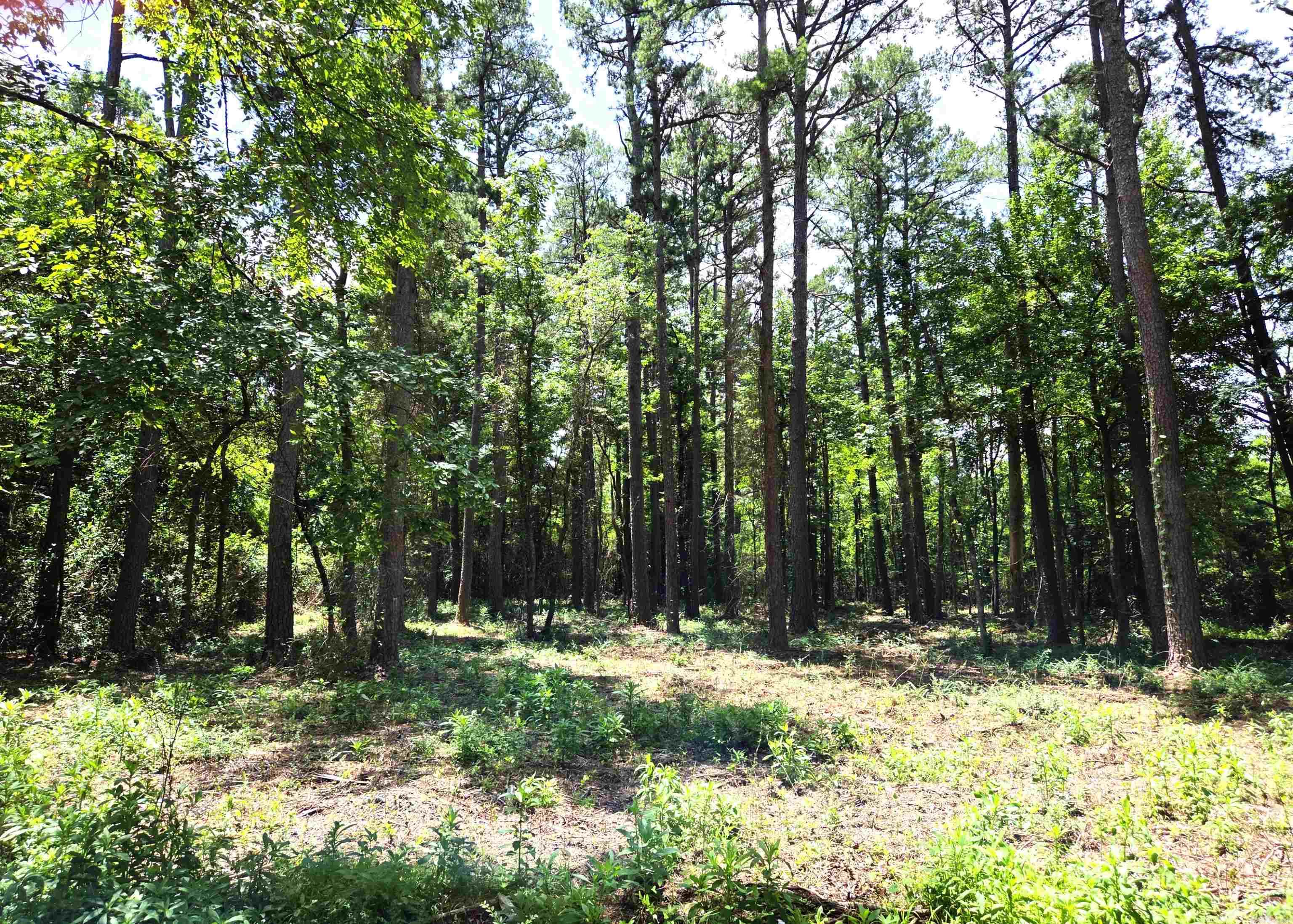 Browns - Land