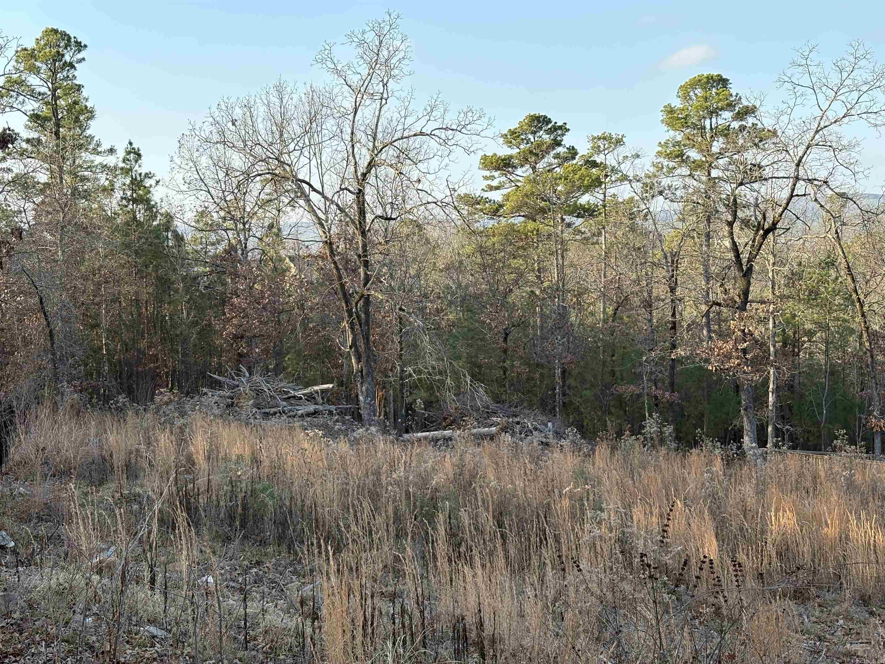 Waterview Meadows - Land