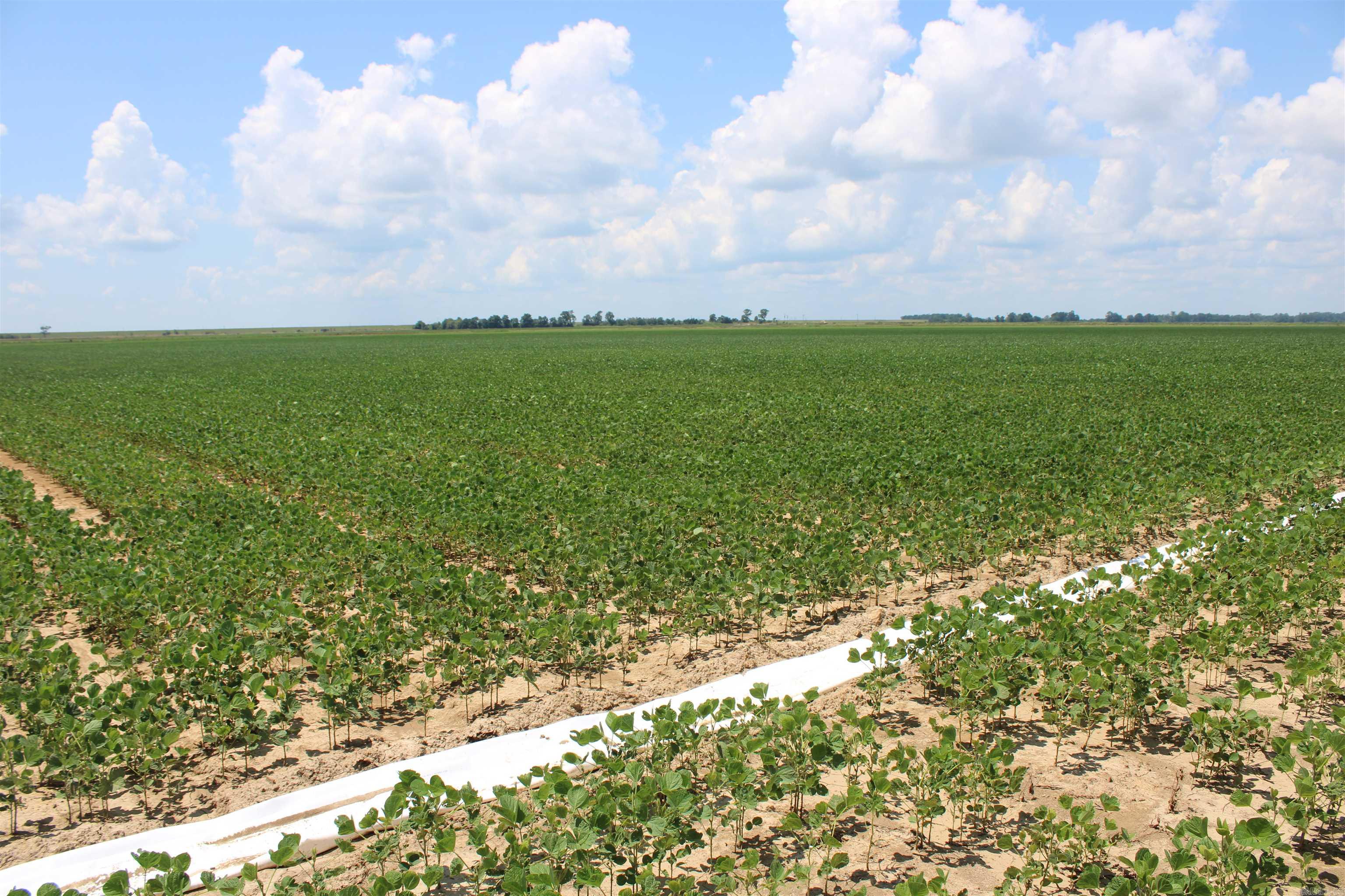 Not in Subdivision - Farm