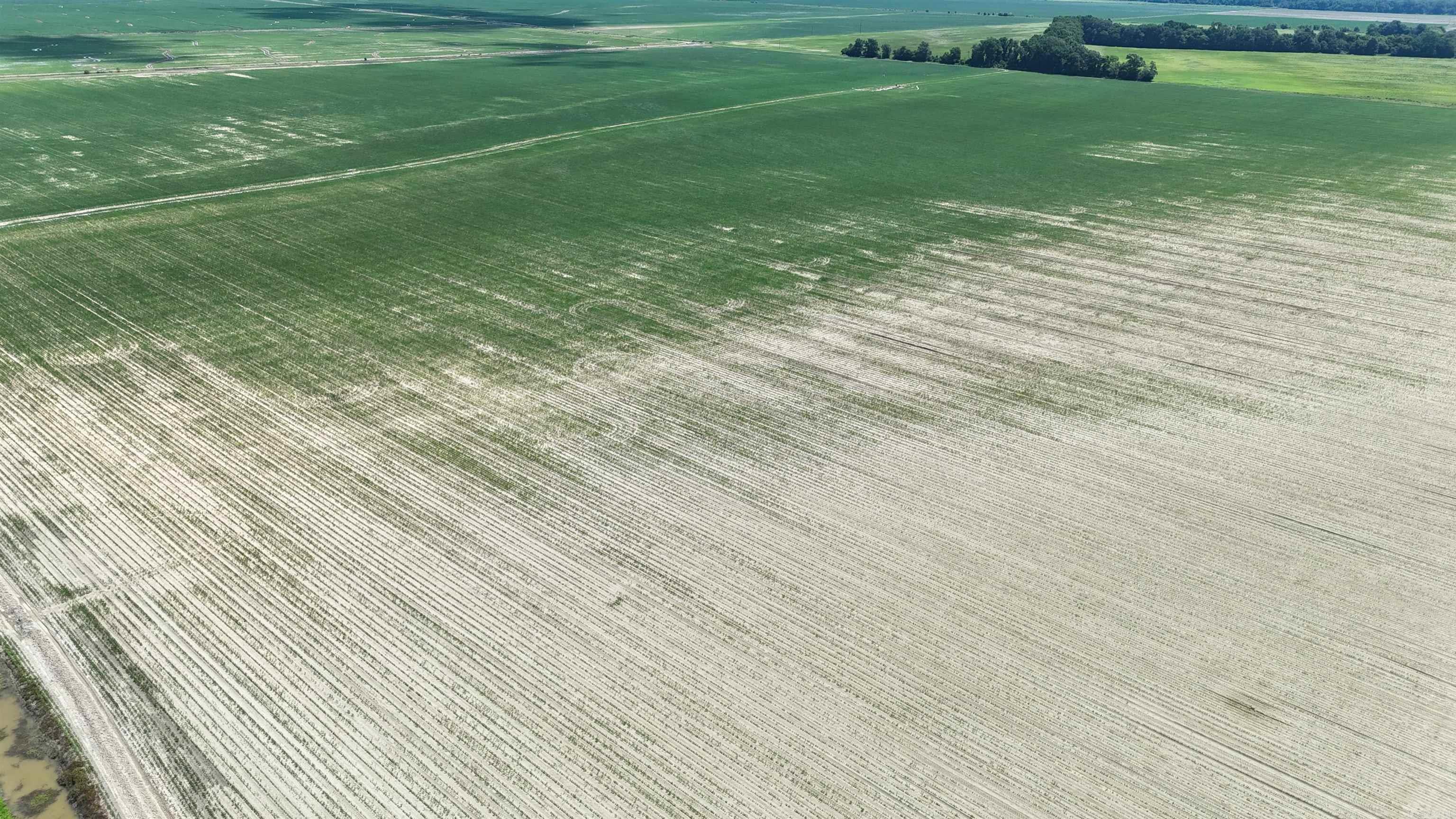 Not in Subdivision - Farm
