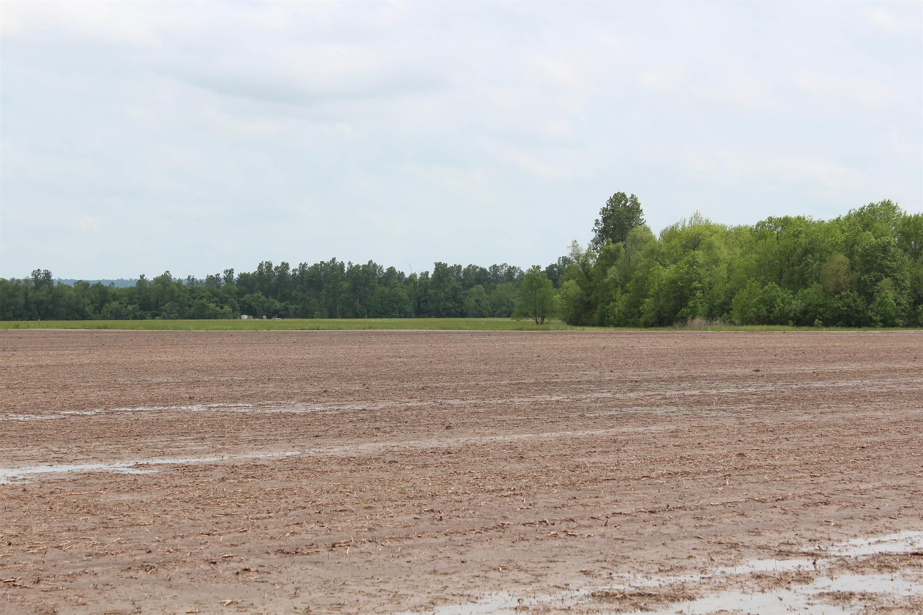 Not in Subdivision - Farm