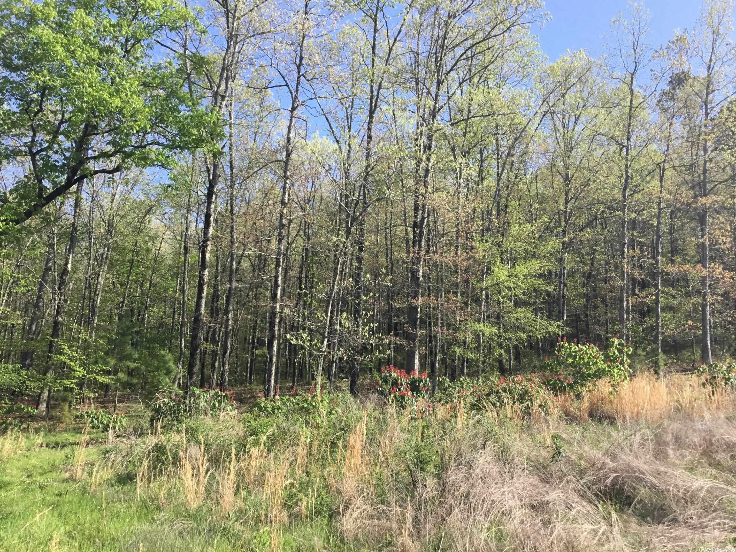 Not in Subdivision - Land