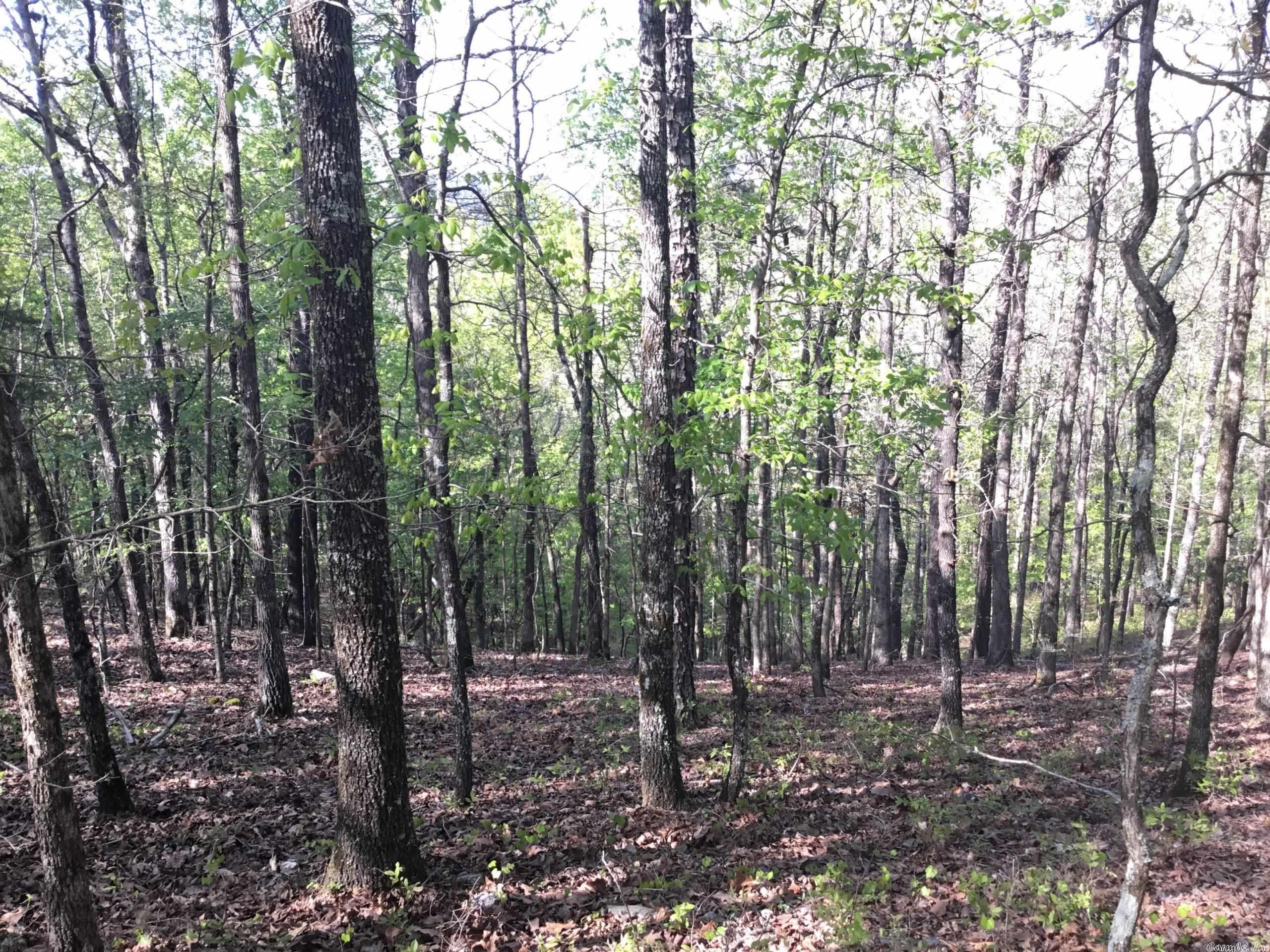 Not in Subdivision - Land