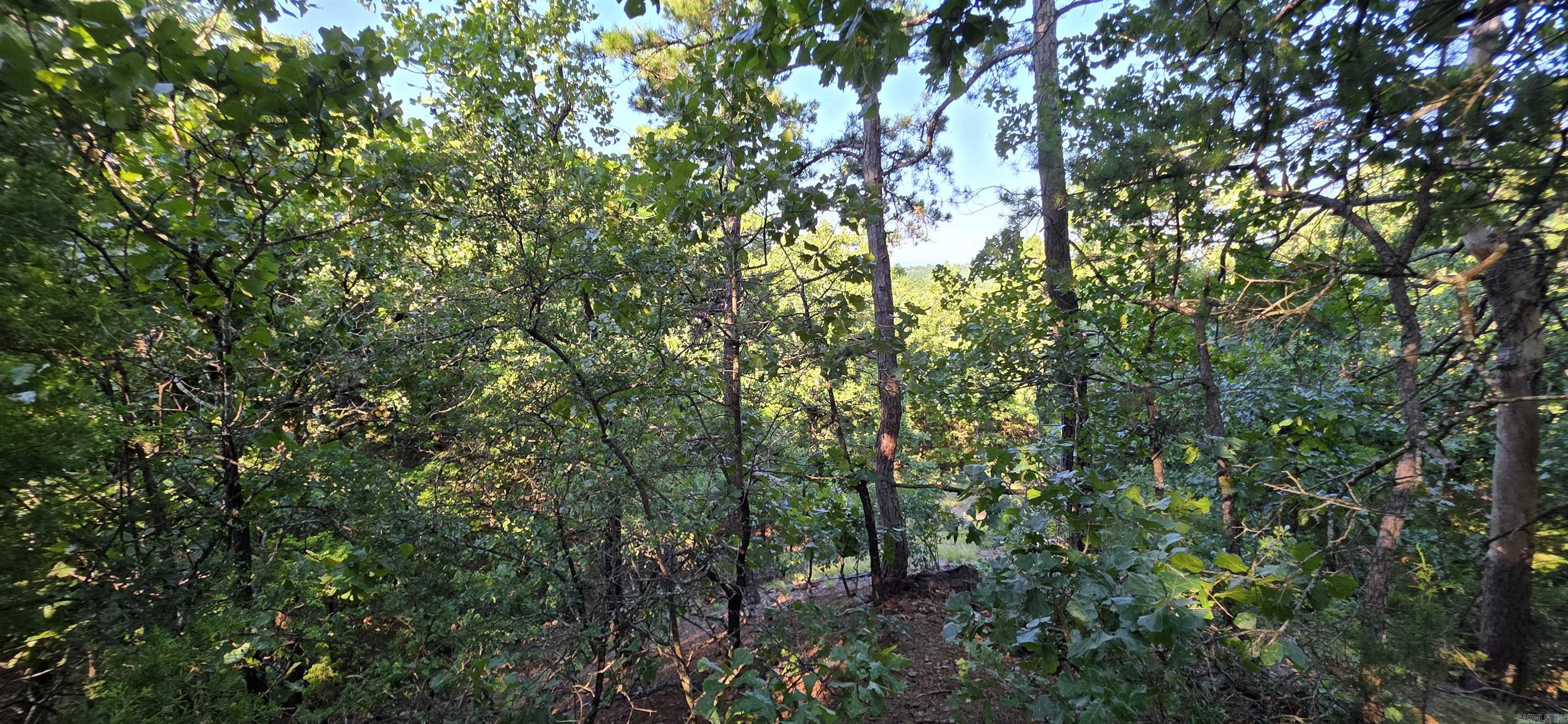 BOONEVILLE C O & M - Residential