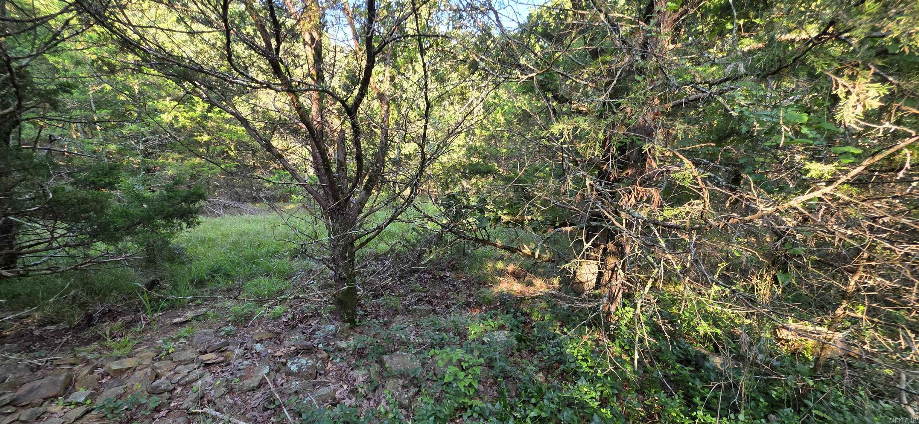 BOONEVILLE C O & M - Residential