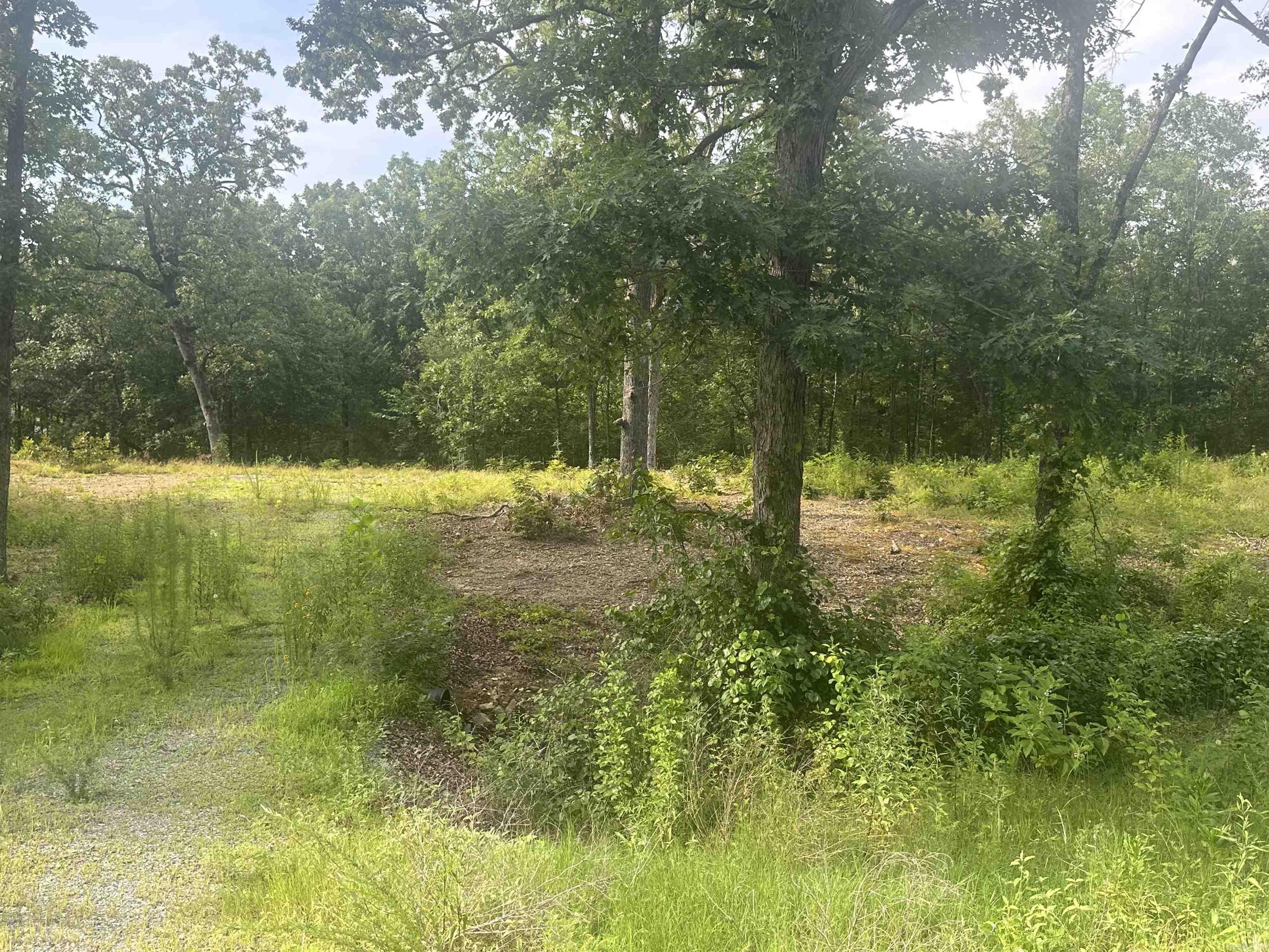 Mountain Ranch Estates - Land