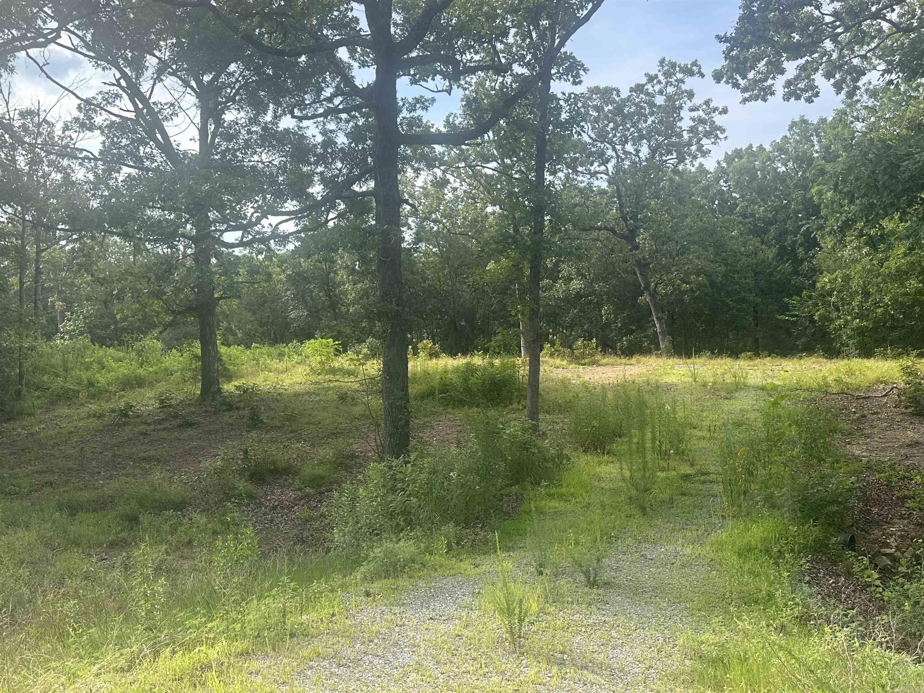 Mountain Ranch Estates - Land
