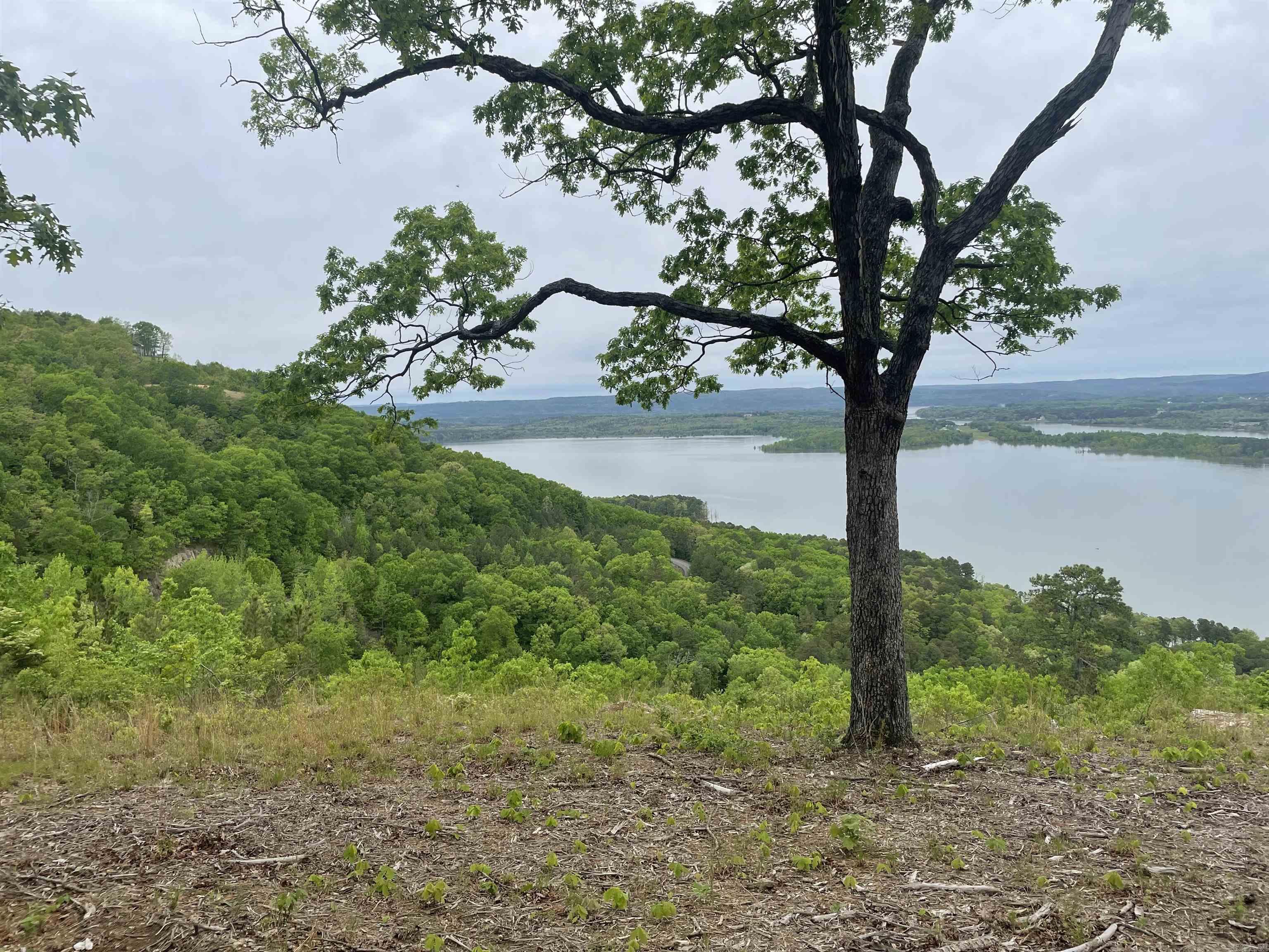 Come build your Dream Home on this beautiful mountain top property.  It has an endless view of Greers Ferry Lake including the Narrows.  Sugarloaf Mountain is in your line of sight.  This property was platted into three buildable tracts.