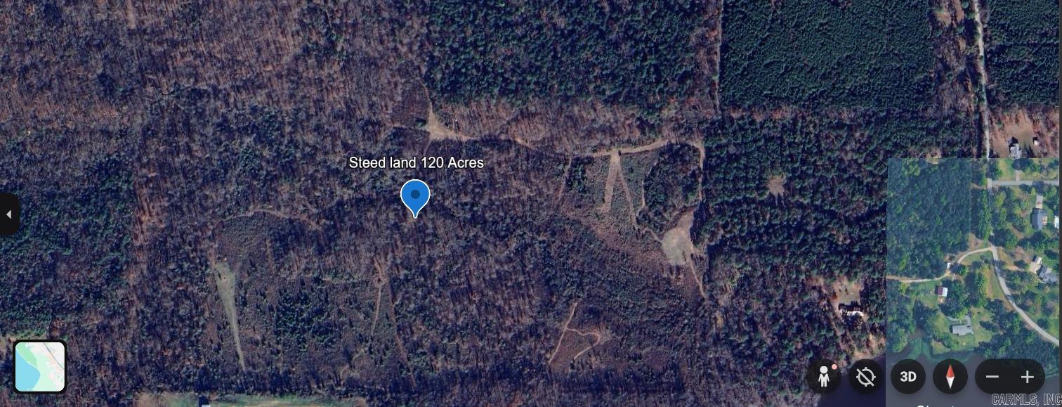 Pine - Land
