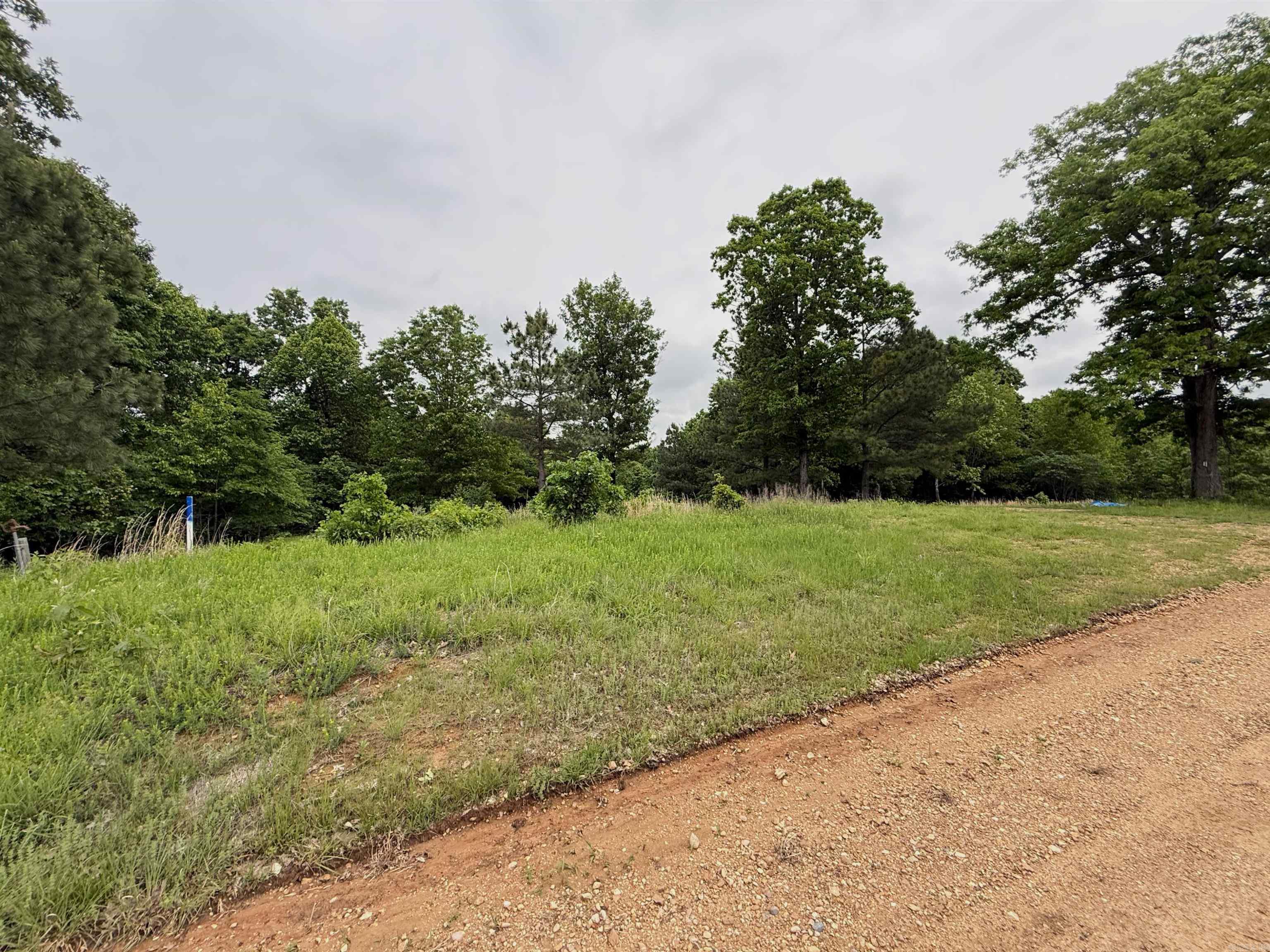 Discover the perfect blend of space and potential with this beautiful 5.44-acre property located at 197 CR 426 in Rector, Arkansas. Tucked away in a quiet rural setting, this property offers the ideal spot to build your dream home or create your own private retreat while enjoying the peace and privacy of country living. The property features a mix of open ground and natural surroundings, providing flexibility for a variety of uses. Whether you're looking for a quiet getaway or a smart investment opportunity, this acreage has the potential to fit your needs. Conveniently located just a short drive from town, you’ll have easy access to local amenities while still enjoying the calm of the countryside. Don’t miss your chance to own a slice of Northeast Arkansas land with endless possibilities.