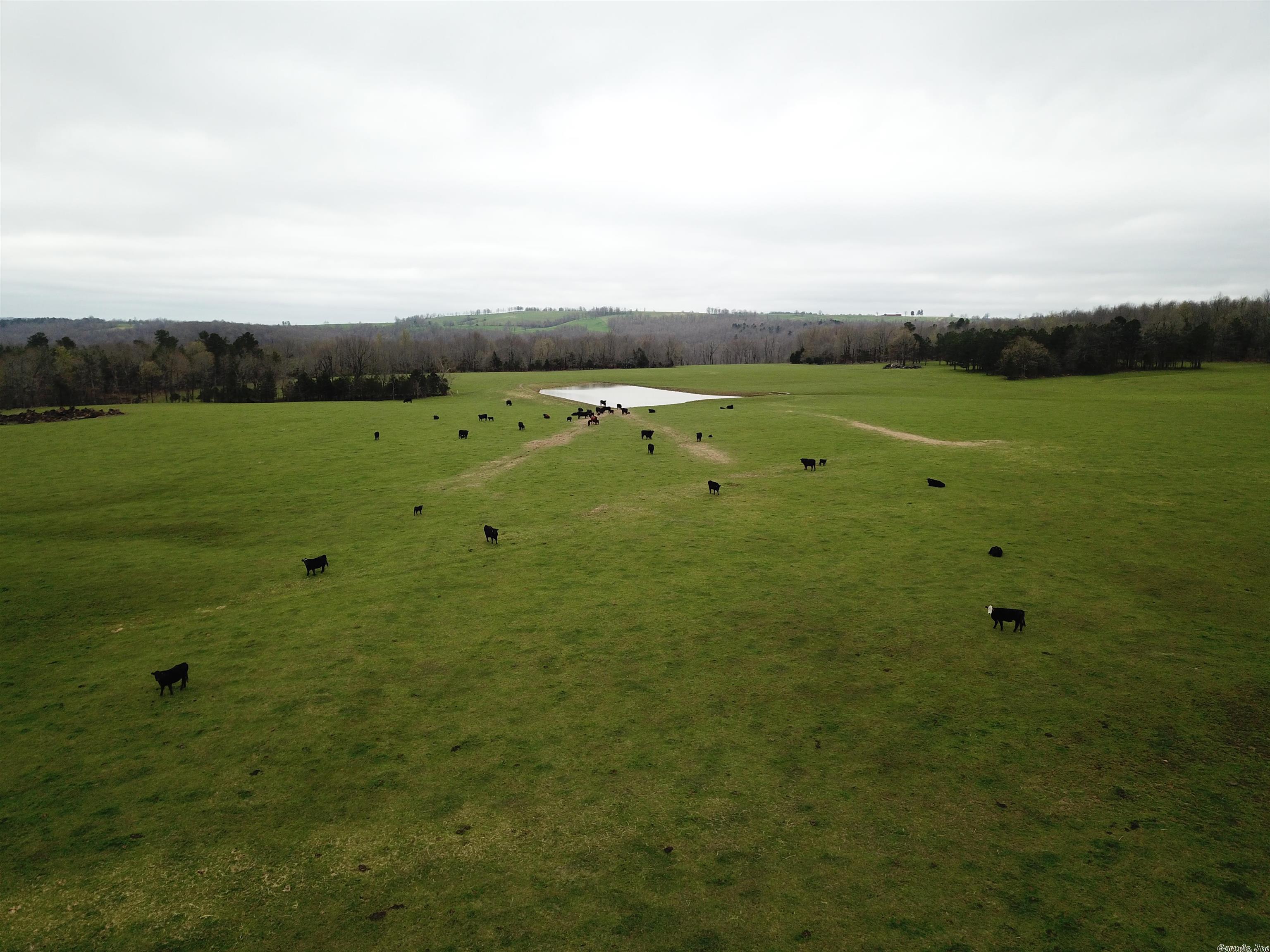 Metes & Bounds - Farm