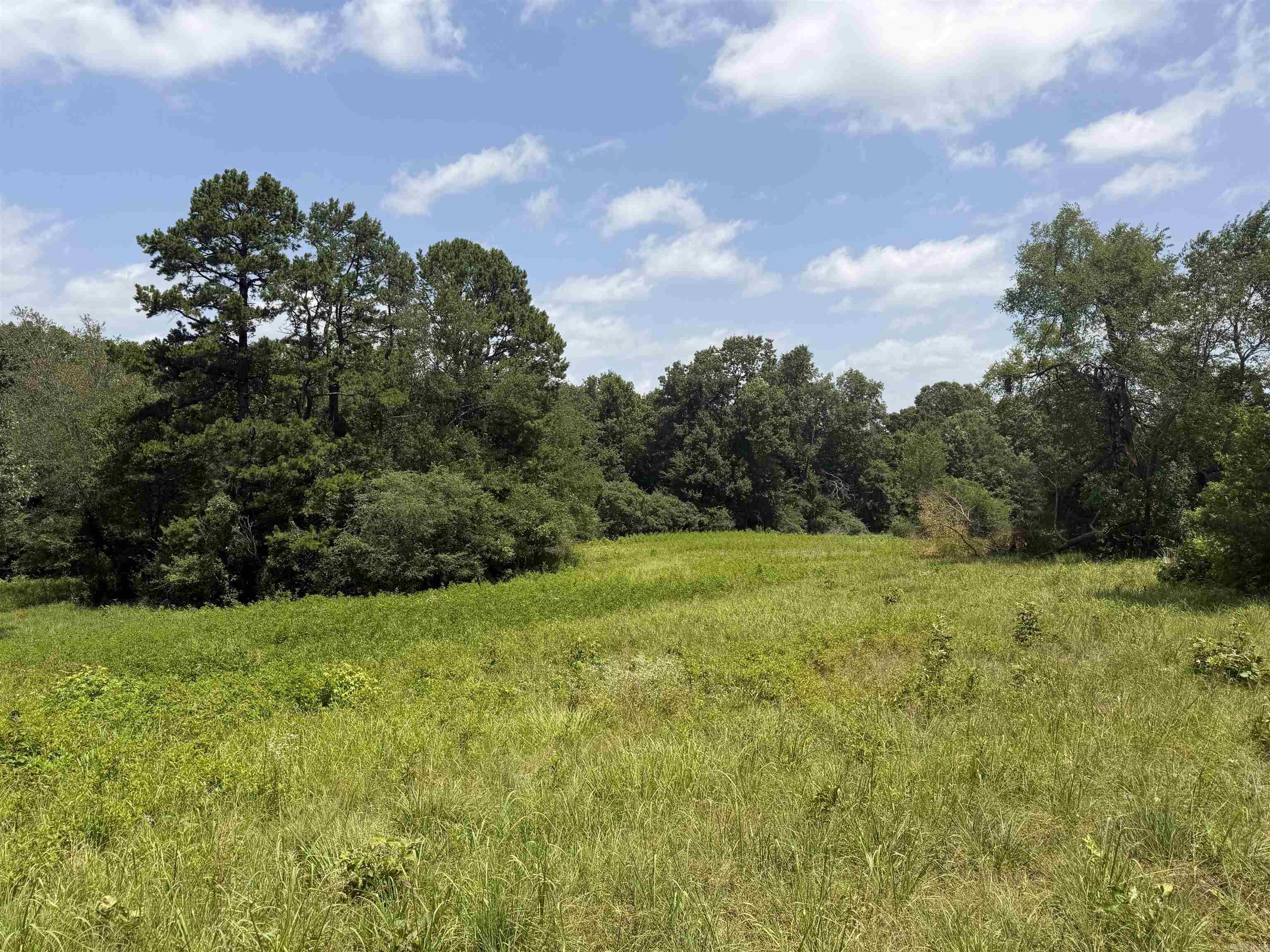 North Jacksonville - Land