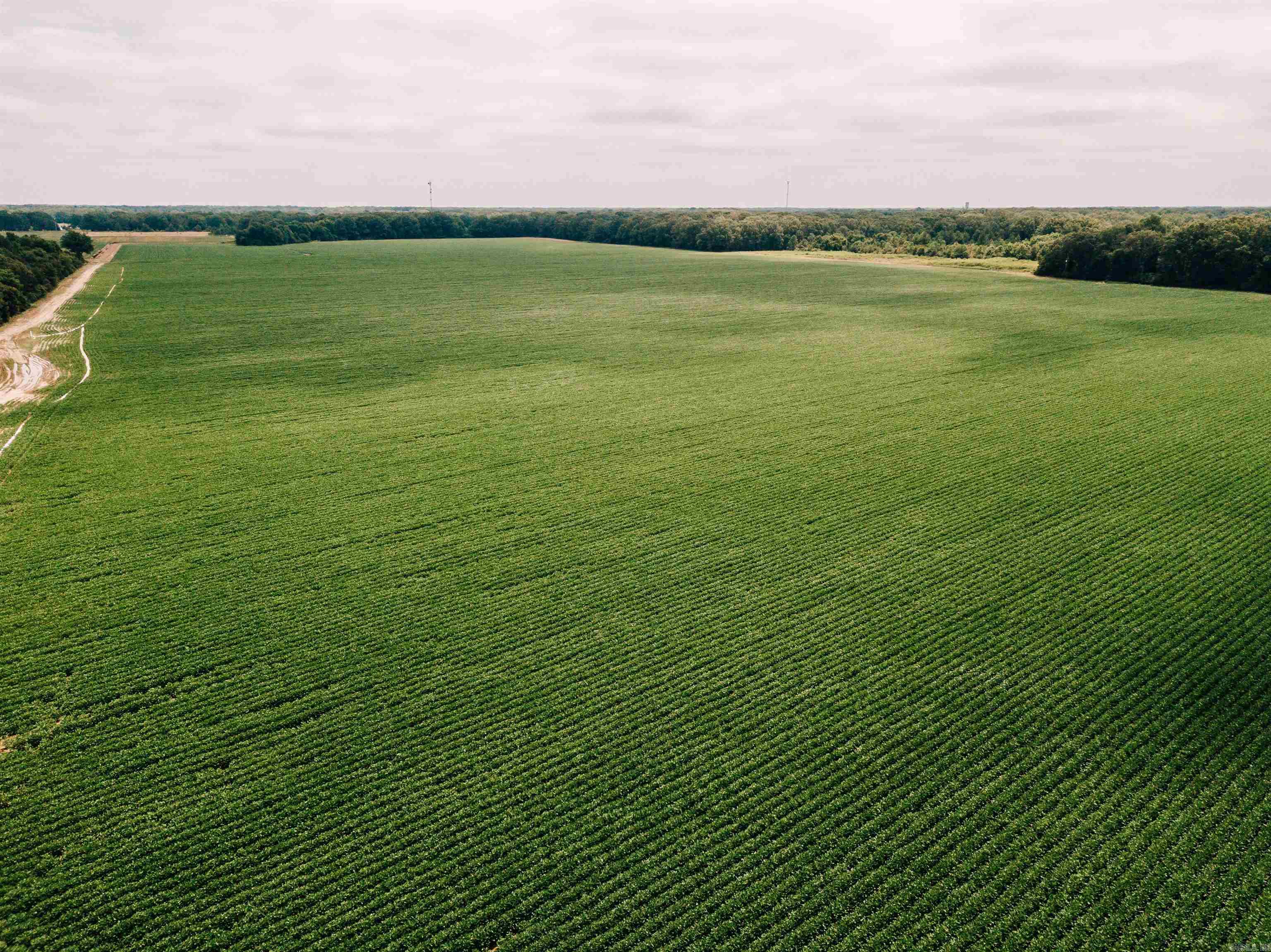 Located just north of DeWitt, Arkansas, this expansive 625.25+/- acre property offers an excellent combination of agricultural productivity, outdoor recreation, and income-generation. With 232.43 acres of high-quality tillable farmland, this parcel provides a solid foundation for continued agricultural use, benefiting from an existing farm lease that ensures consistent rental income. Key Features: Total Acreage: 625.25+/- Acres Tillable Land: 232.43 Acres of productive, irrigated farmland Farm Lease: Current farm lease in place, providing steady income Hunting: Exceptional deer hunting opportunities, making this property ideal for outdoor enthusiasts and sportsmen Location: Just north of DeWitt, AR Income Producing: The tillable acreage is currently leased, but can also be leased for hunting in the future. Whether you're looking for a high-performing agricultural asset, a hunting retreat, or a property that offers both, this 625.25-acre parcel is a rare find. The strong lease income, productive farmland, and prime hunting opportunities make this property a good investment.   FSA documents and lease info available upon request.