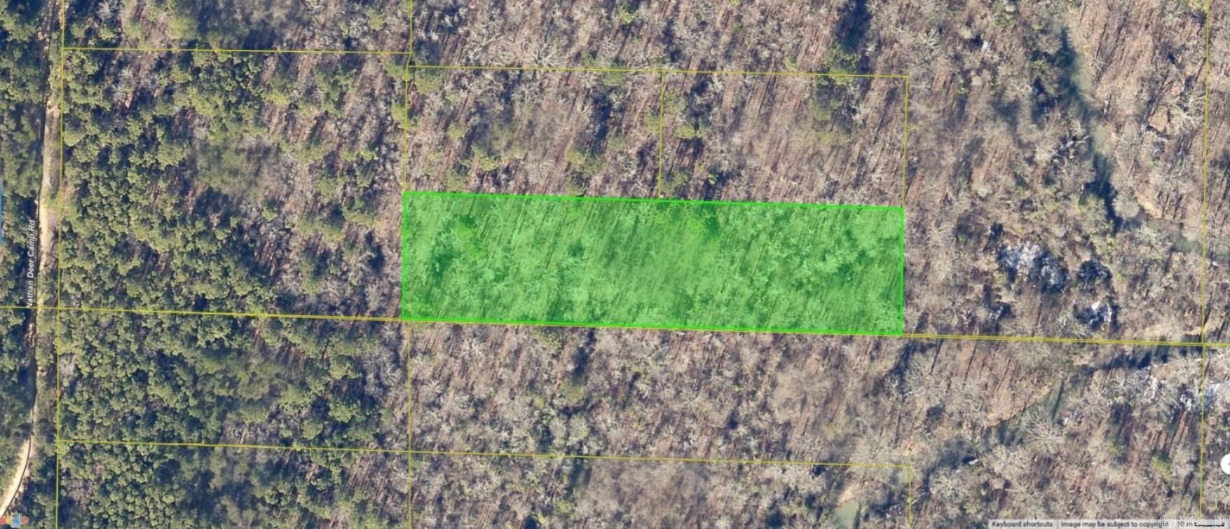 Hunting season is almost upon us.  This is the perfect place to hunt on!  It is just off of Nathan Deer Camp Rd., that says it all! The property is 410 feet from the road. There are 2 acres that run 150 feet north and south x 580 feet east and west (+/-). Clean out a spot to put your feeder out then sit and wait.   The wild life management area is only 410 feet away! Property is sub-divided but there is no written easement to it. There are no utilities at this time.