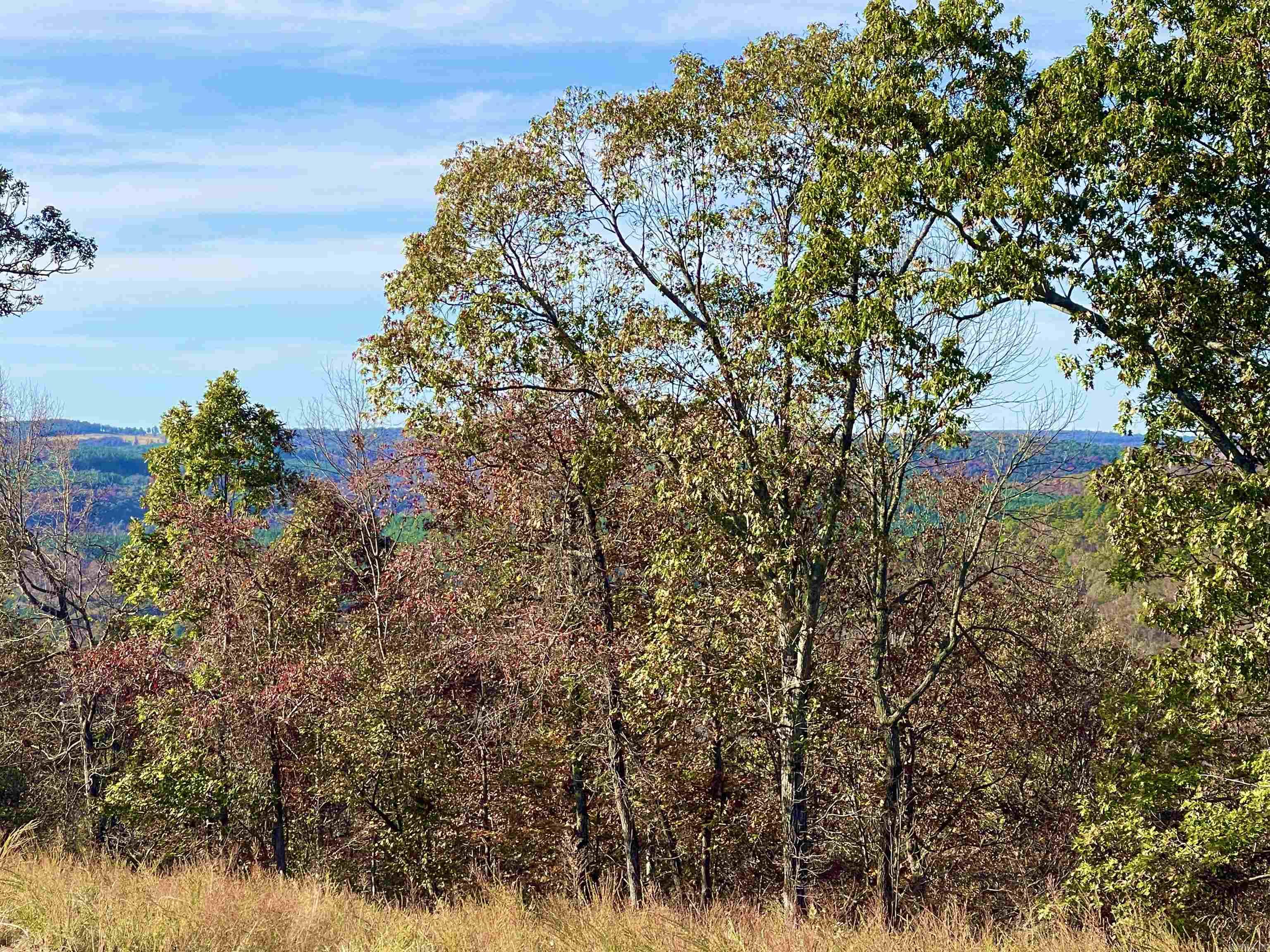 Eagle Ridge - Land