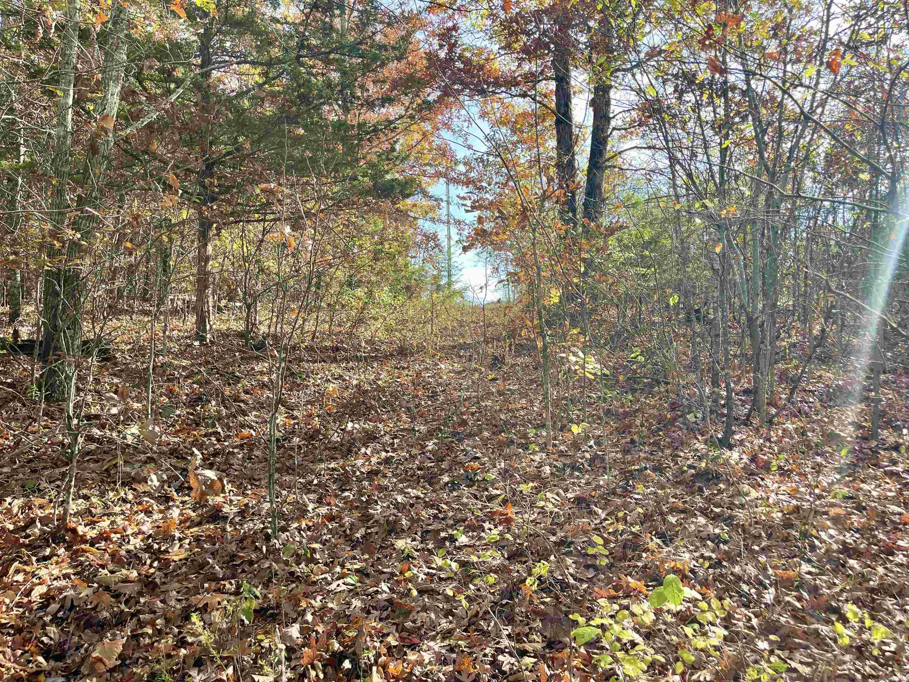 Eagle Ridge - Land