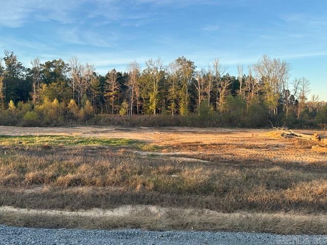 Ready to build your dream home?? Don't miss out on this 1.12 acre lot in Winchester Estates!!  Bauxite School District!!